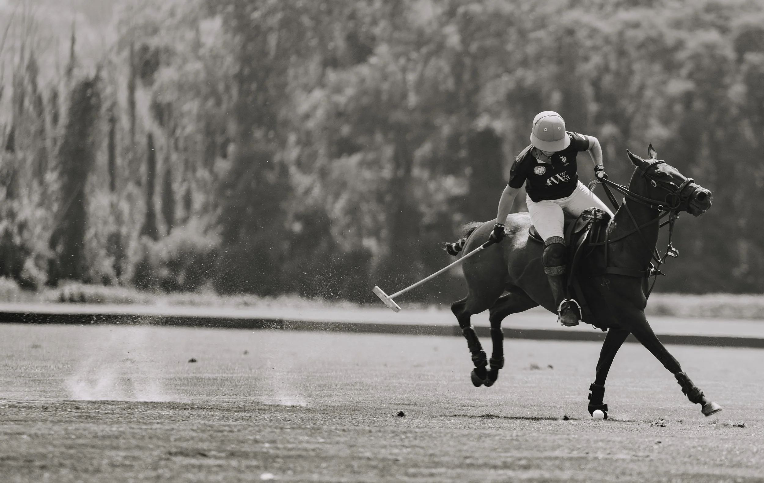 MASH POLO AUG 1-1000359.jpg