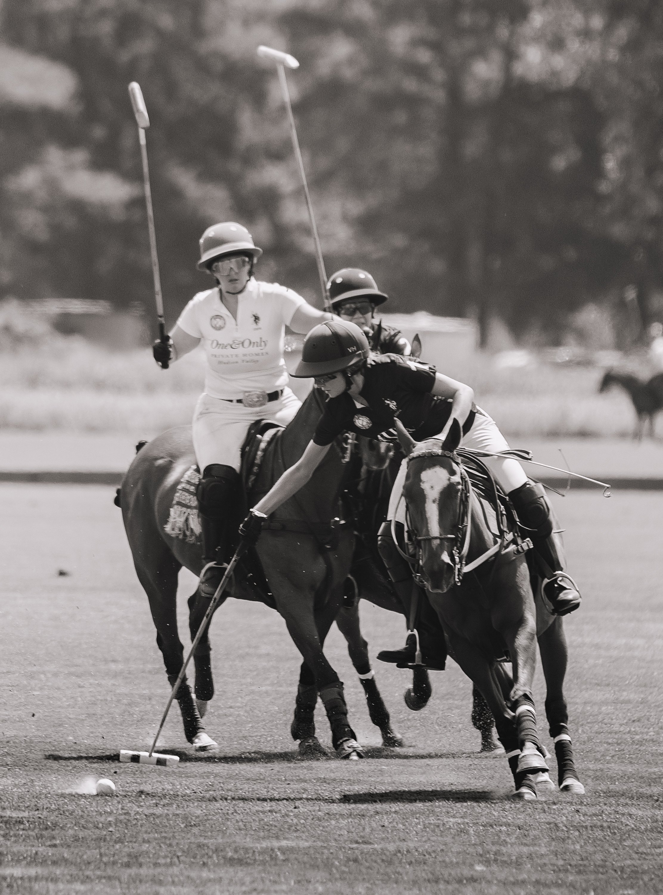 MASH POLO AUG 1-1000416.jpg
