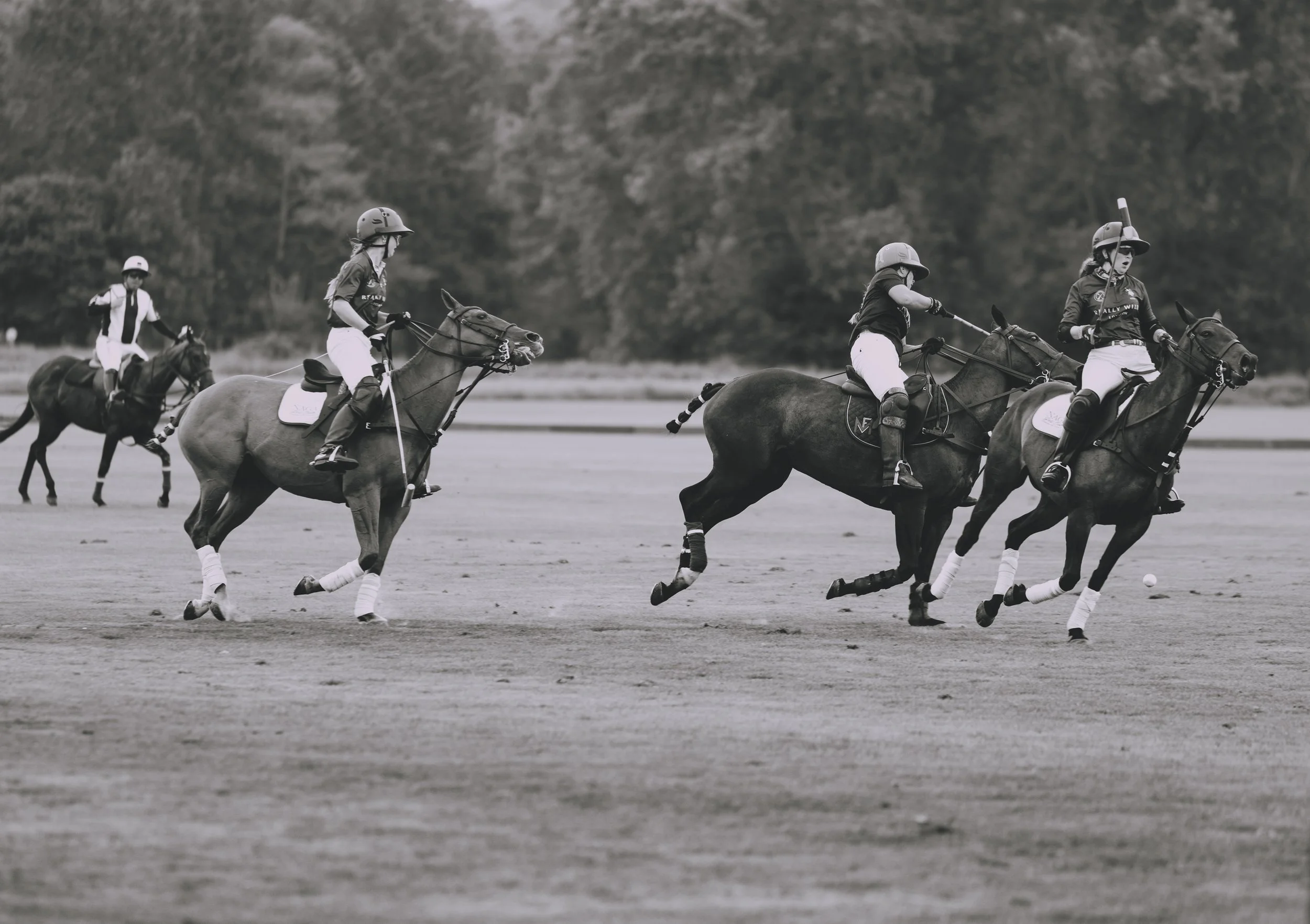 MASH POLO AUG 2-1001373.jpg