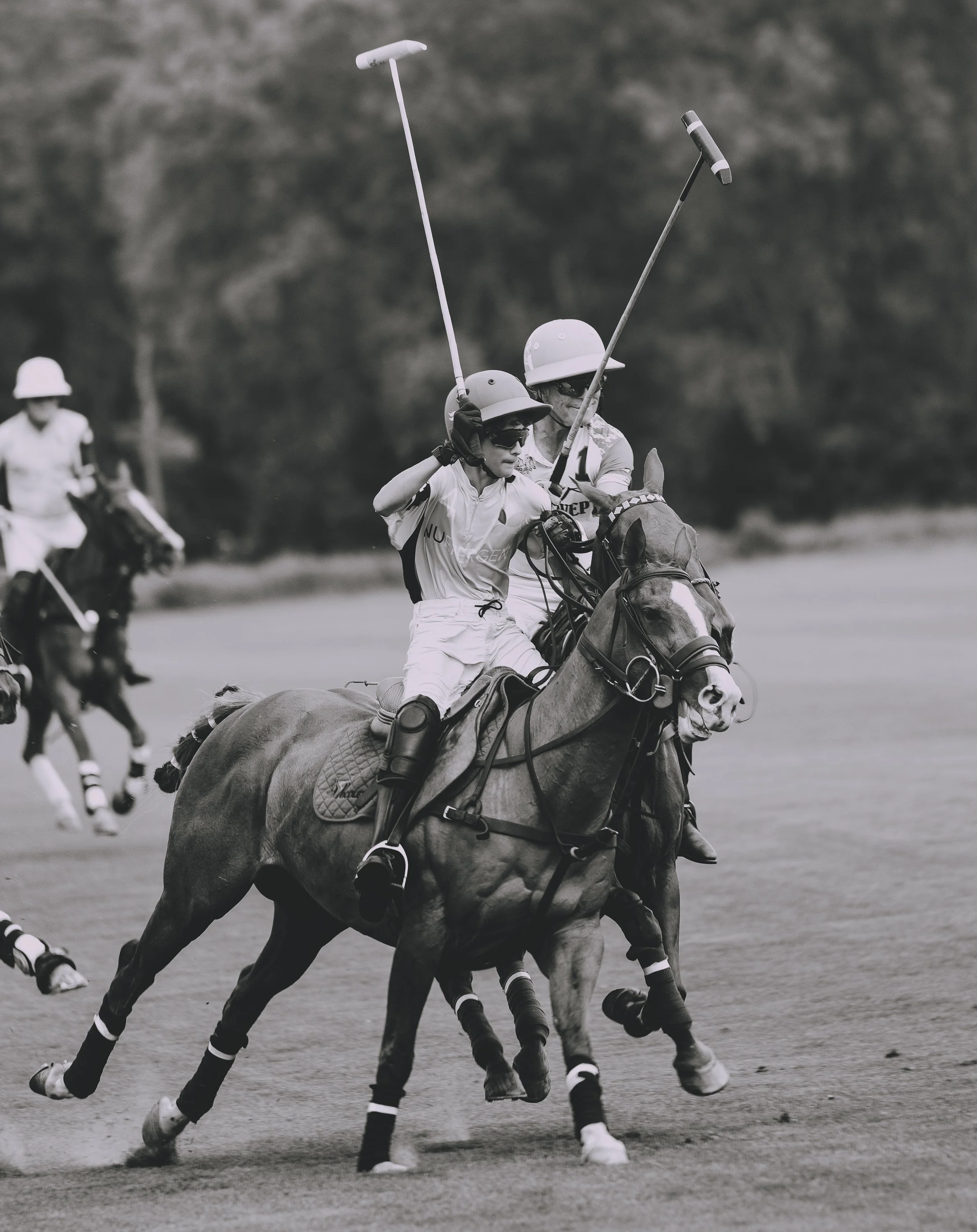 MASH POLO AUG 2-1010097.jpg