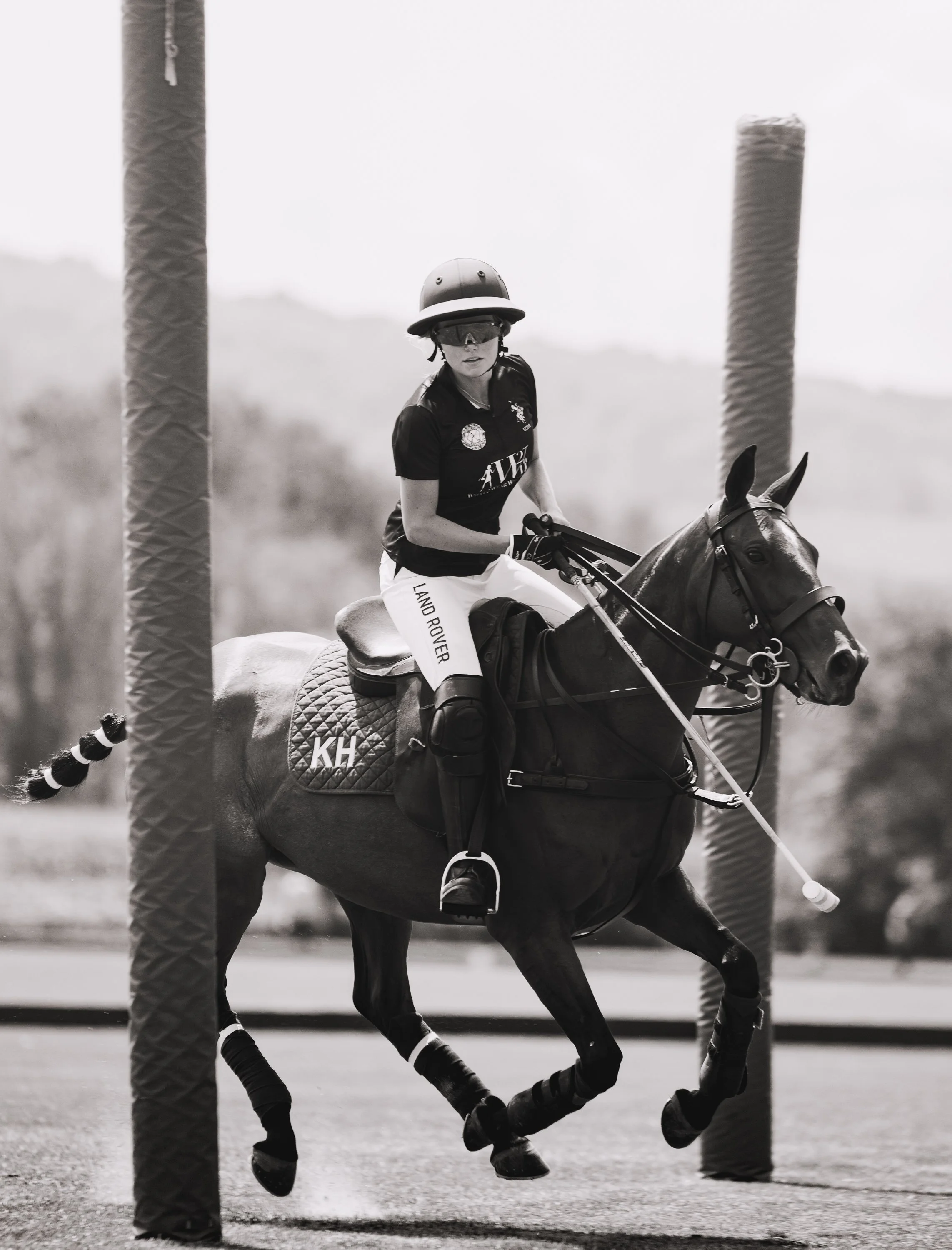MASH POLO AUG 1-.jpg
