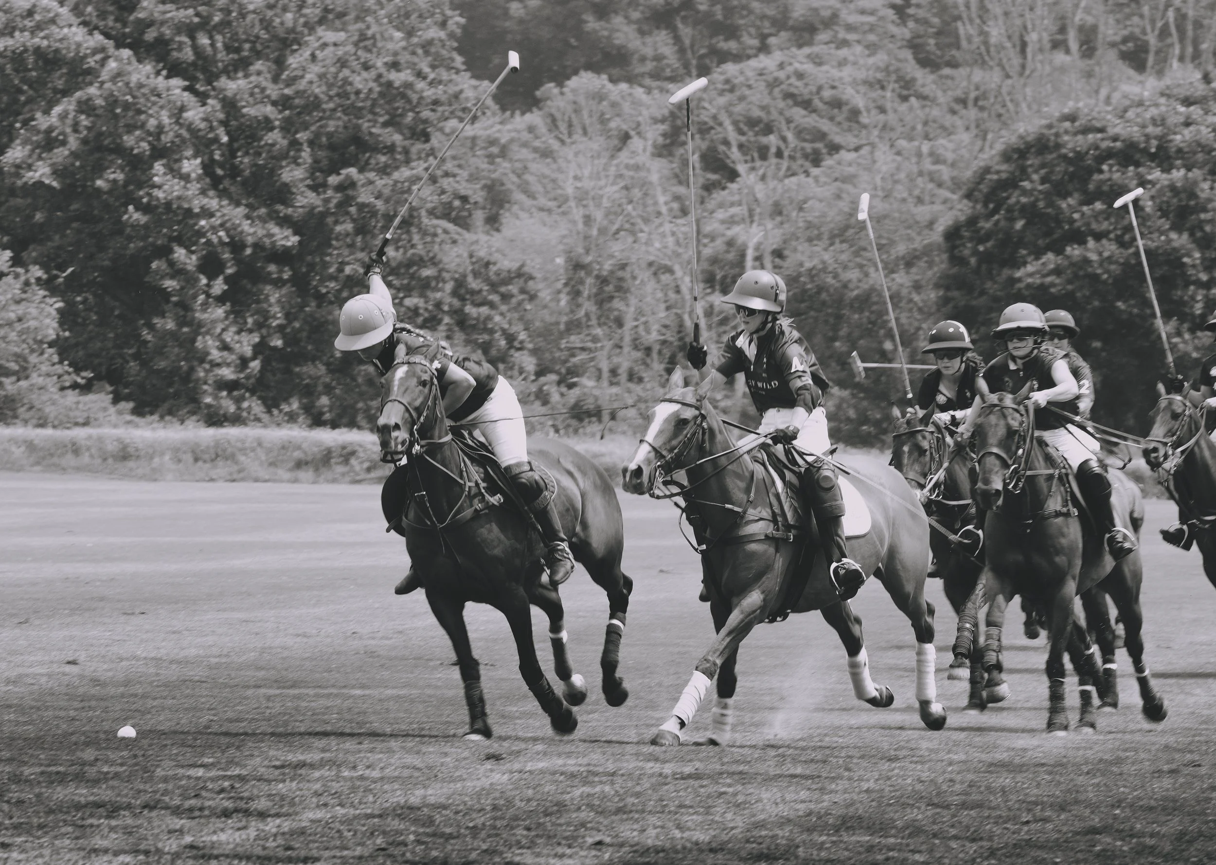 MASH POLO AUG 2-1001261.jpg