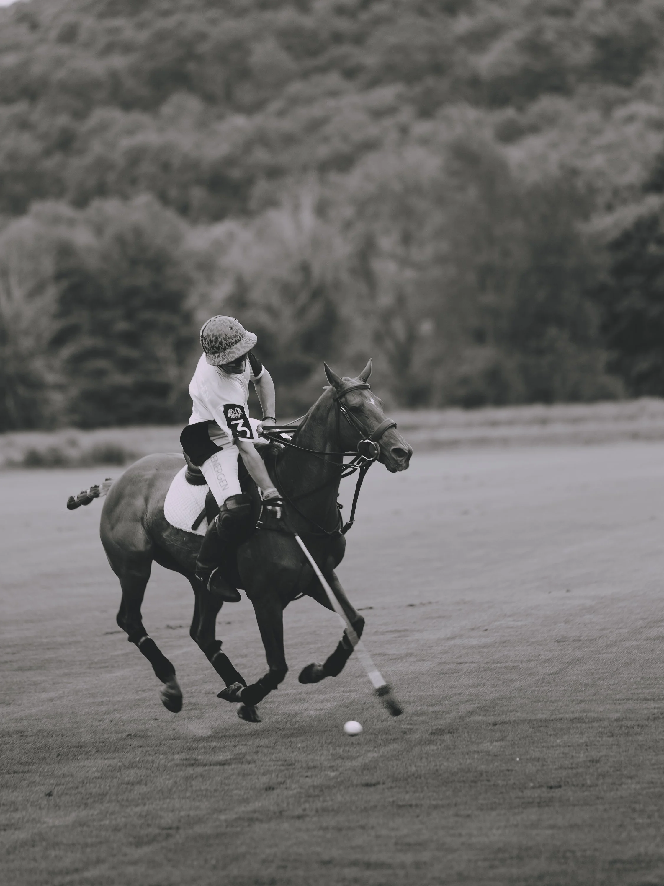 MASH POLO AUG 2-1001912.jpg
