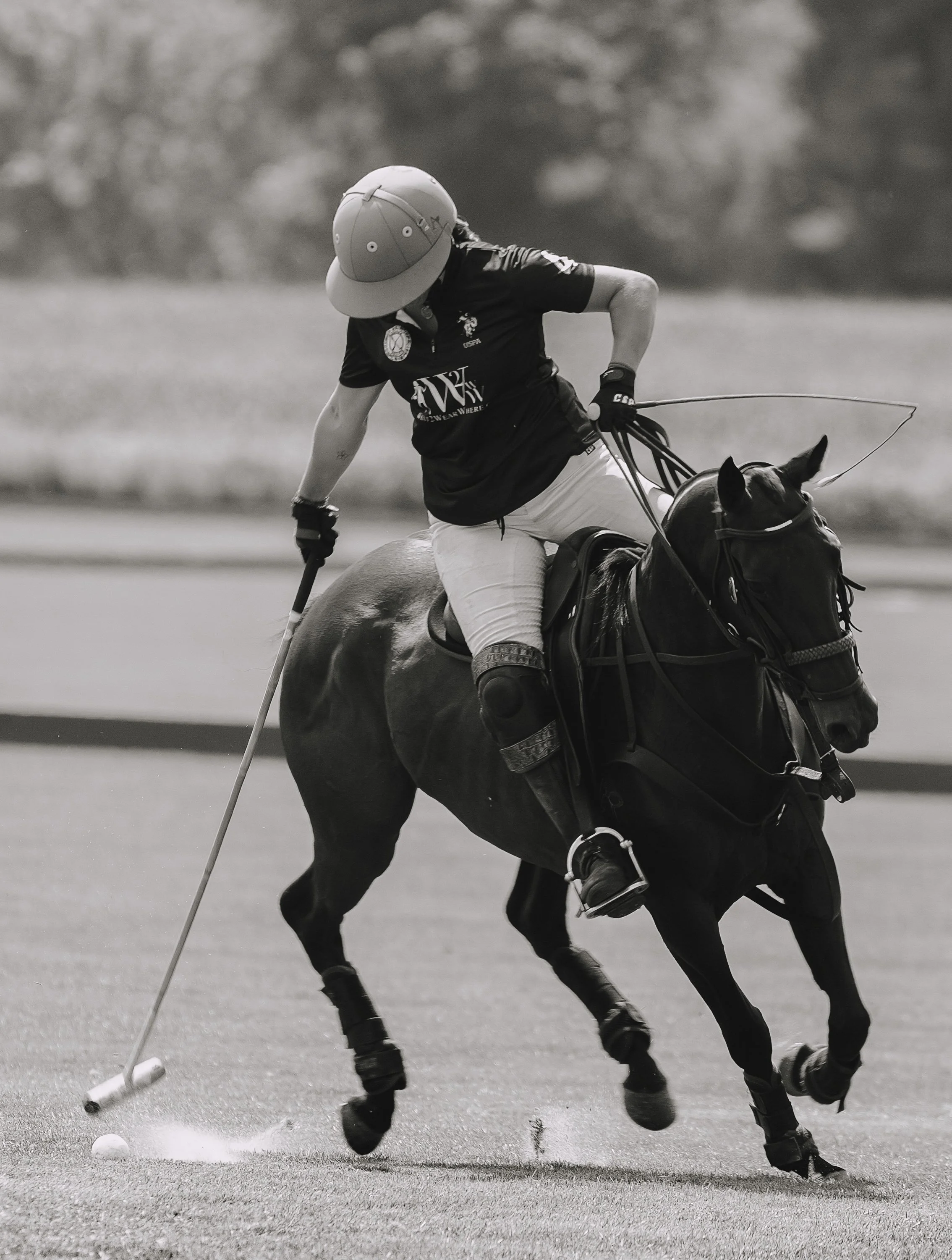 MASH POLO AUG 1-1000330.jpg