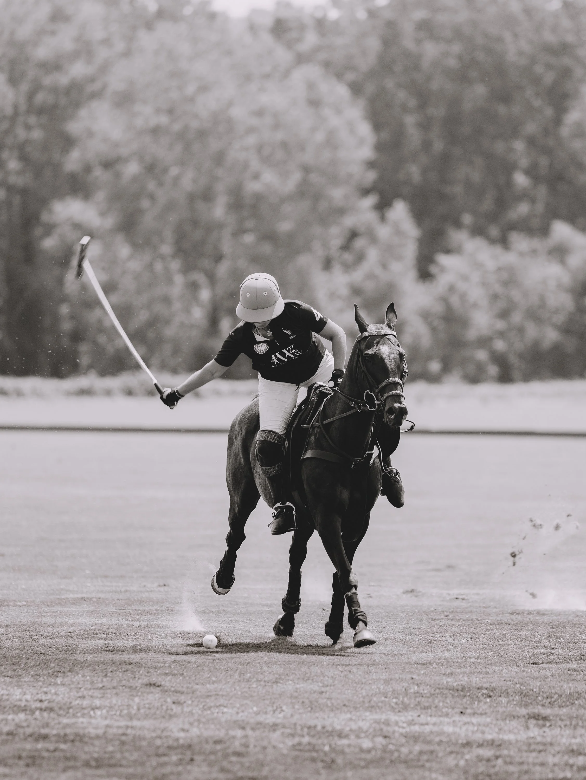 MASH POLO AUG 1-1000488.jpg