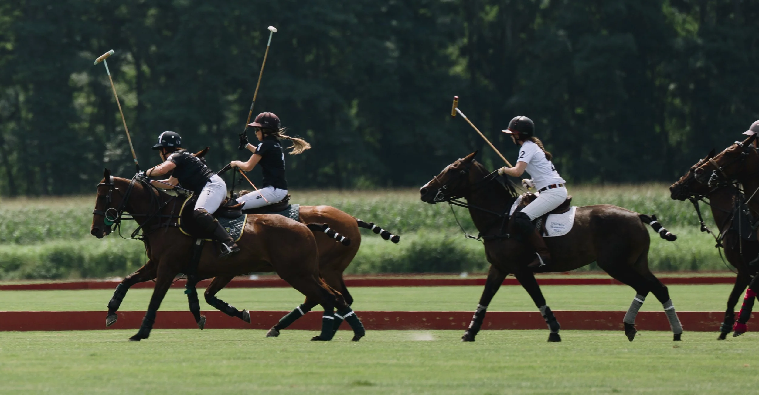 MASH POLO AUG 1-1000304.jpg