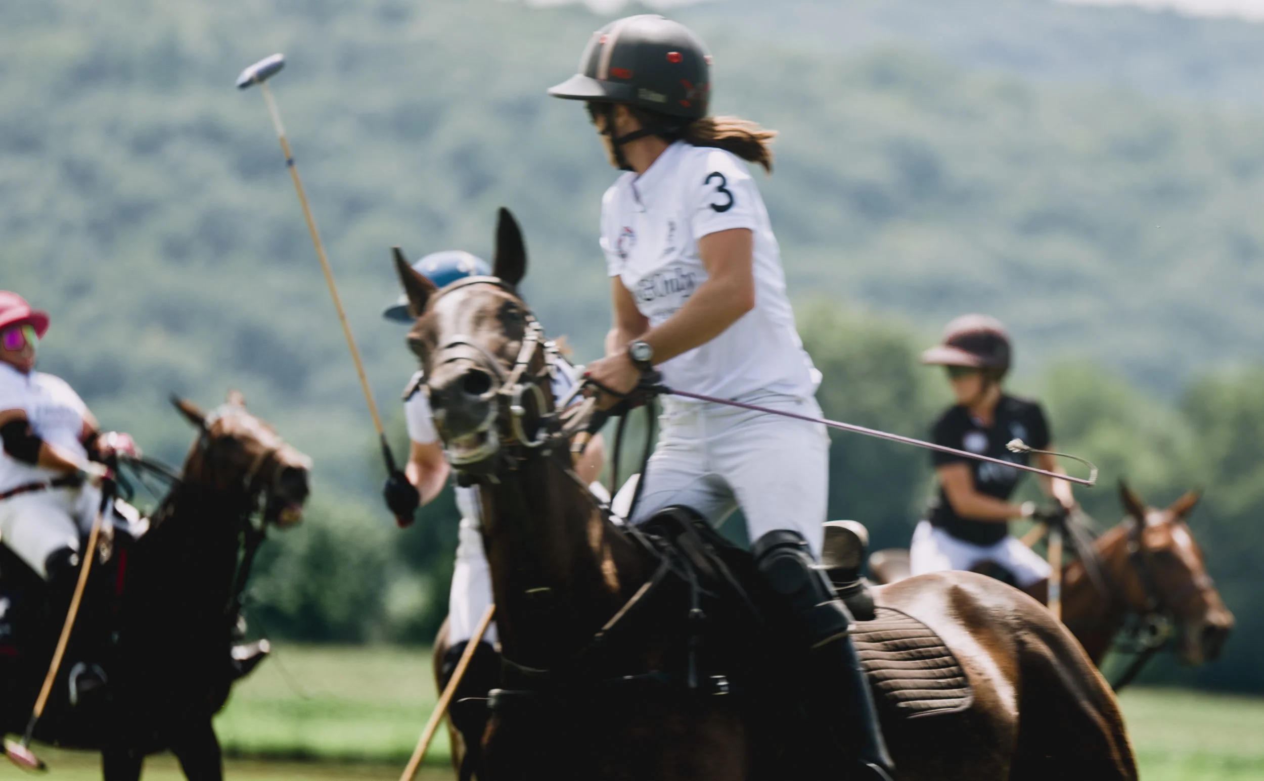 MASH POLO AUG 1-1000365.jpg