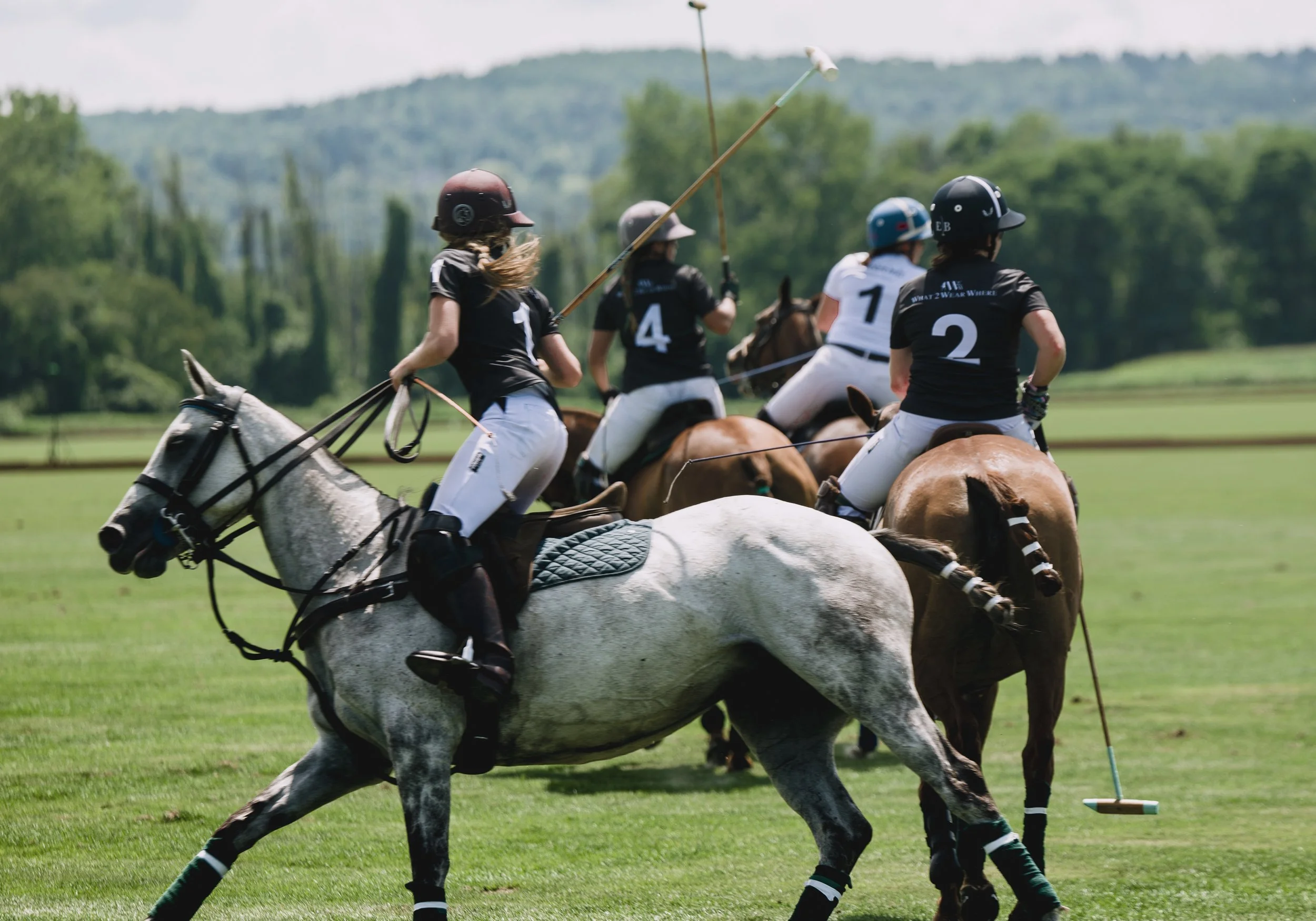 MASH POLO AUG 1-1000582.jpg