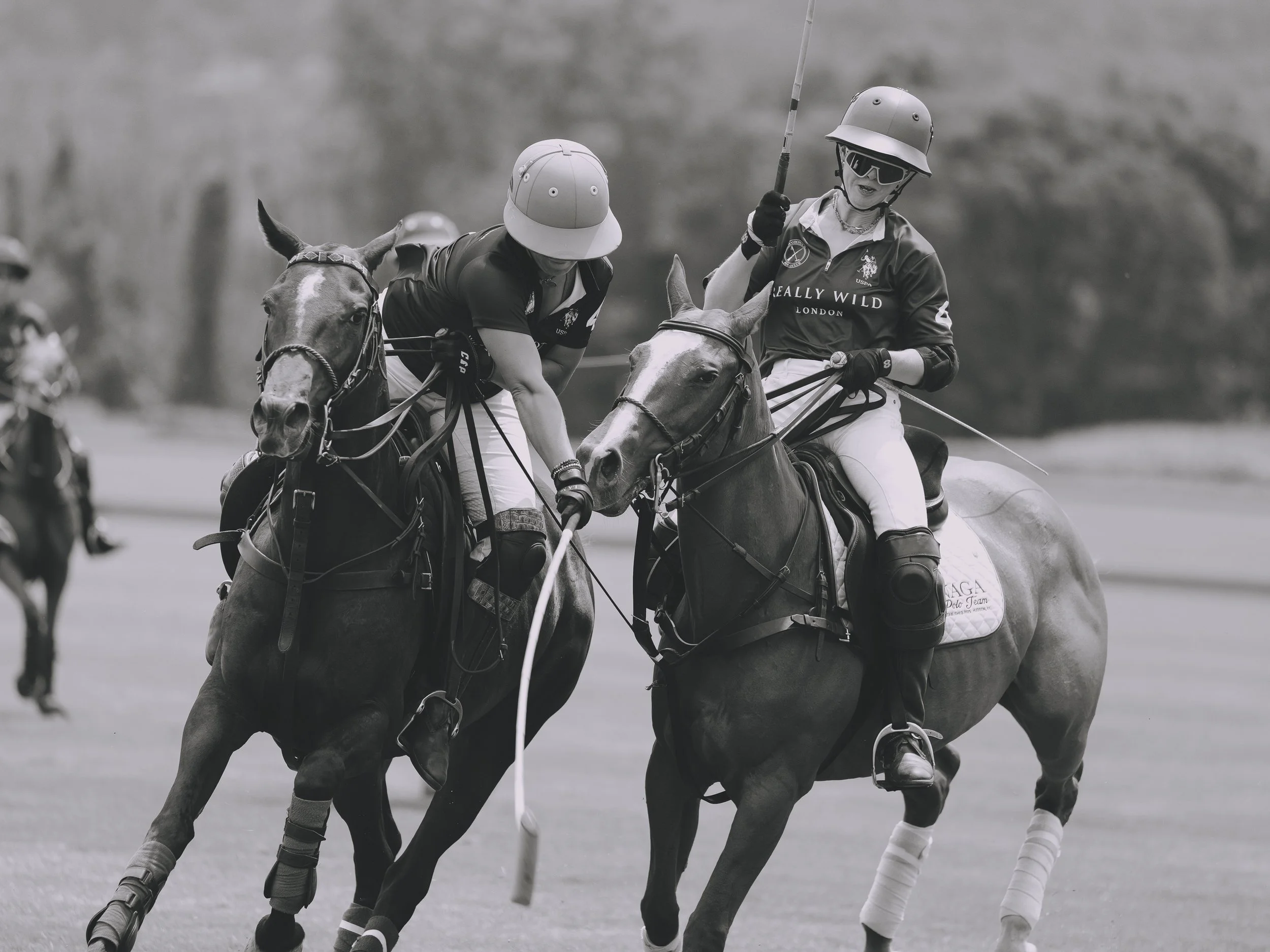 MASH POLO AUG 2-1001303.jpg