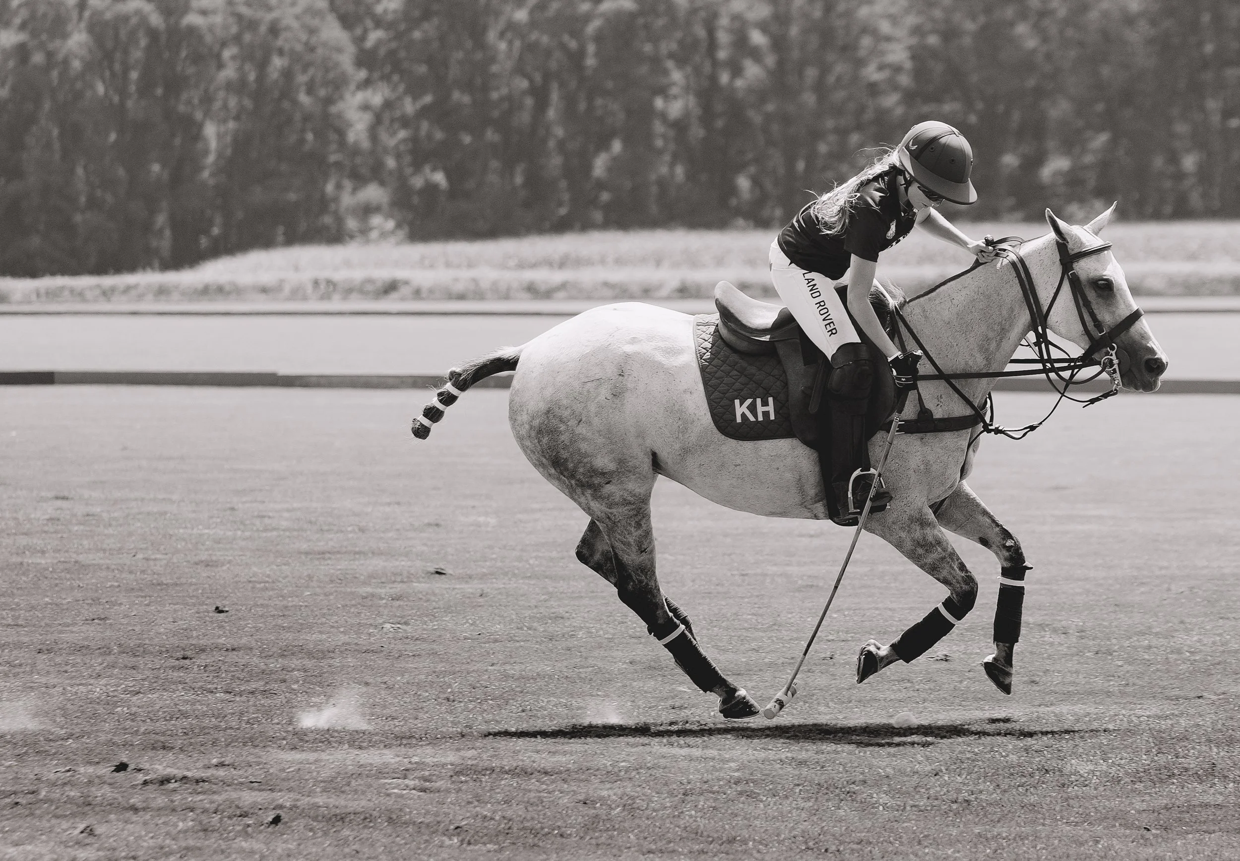 MASH POLO AUG 1-1000575.jpg