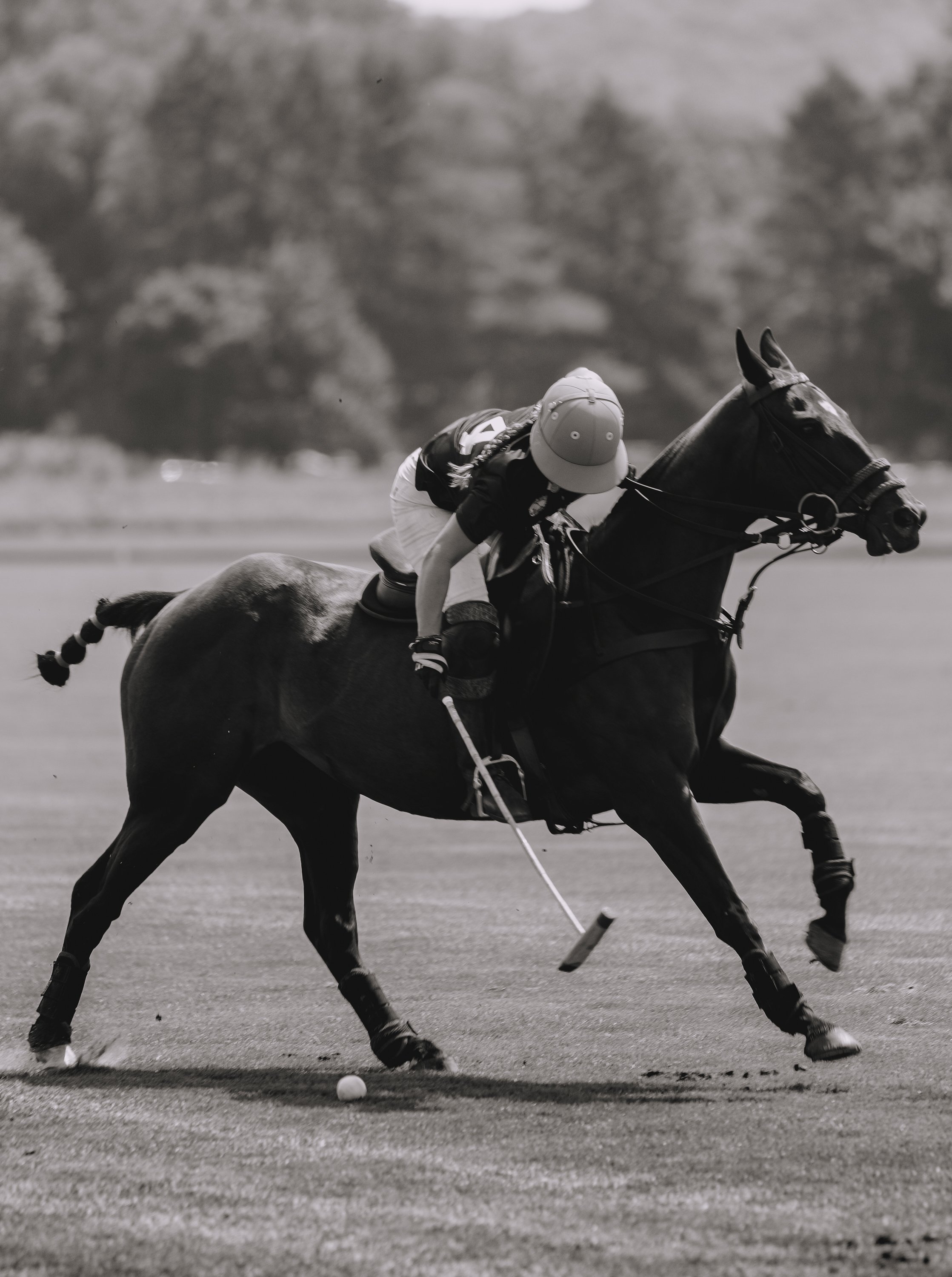 MASH POLO AUG 1-1000426.jpg