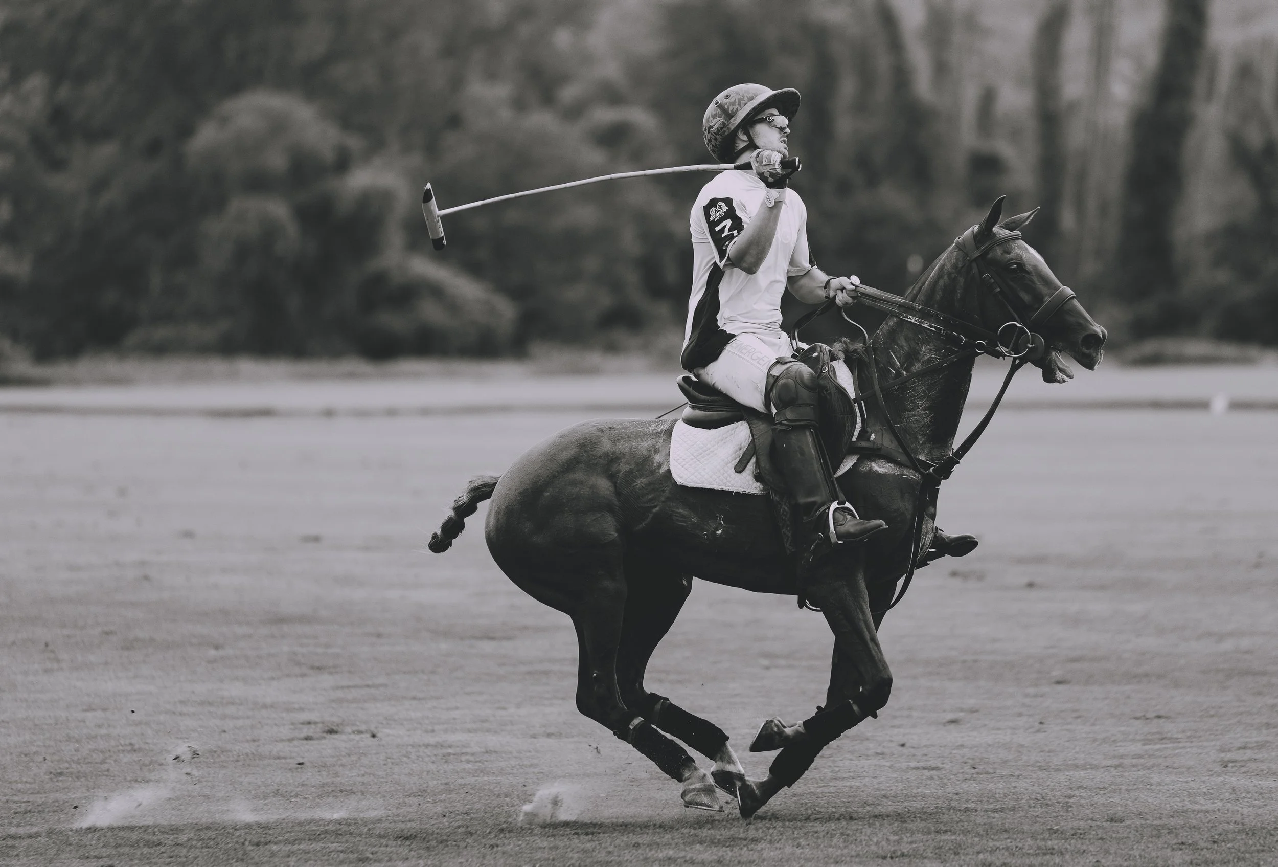 MASH POLO AUG 2-1010316.jpg