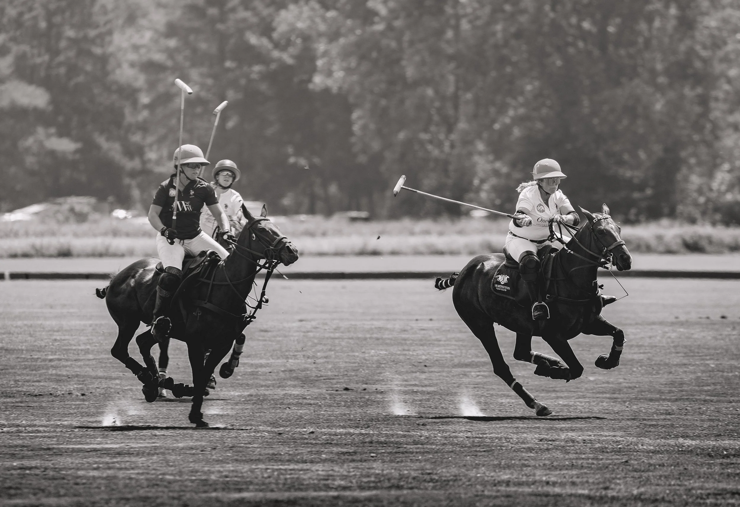 MASH POLO AUG 1-1000313.jpg