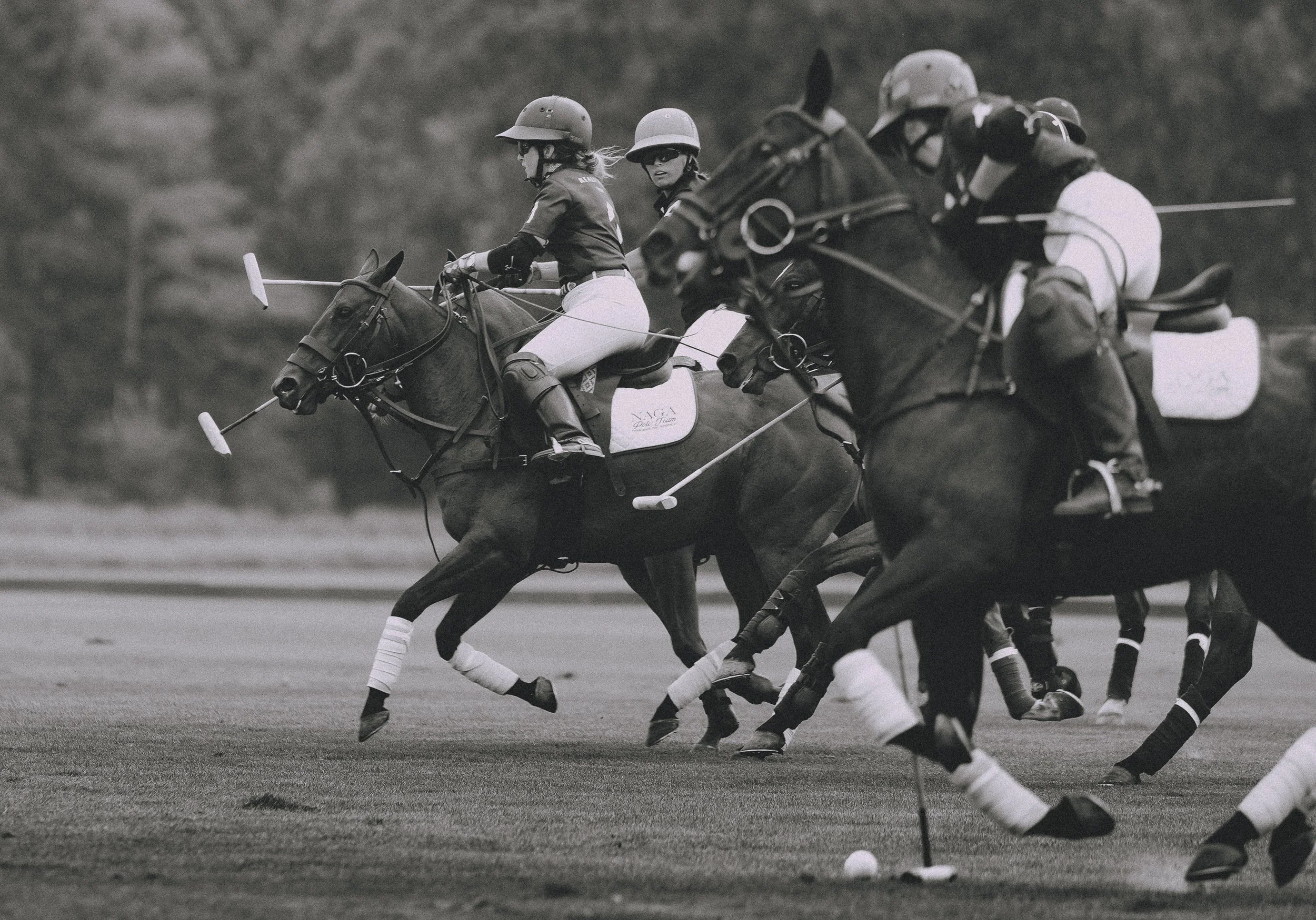 MASH POLO AUG 2-1001072.jpg