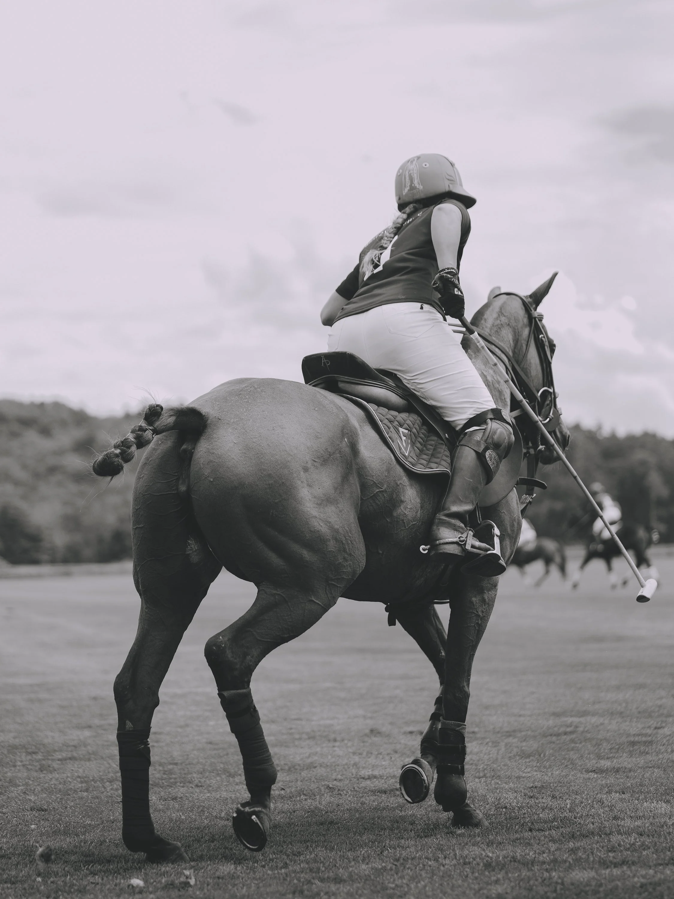 MASH POLO AUG 2-1001545.jpg