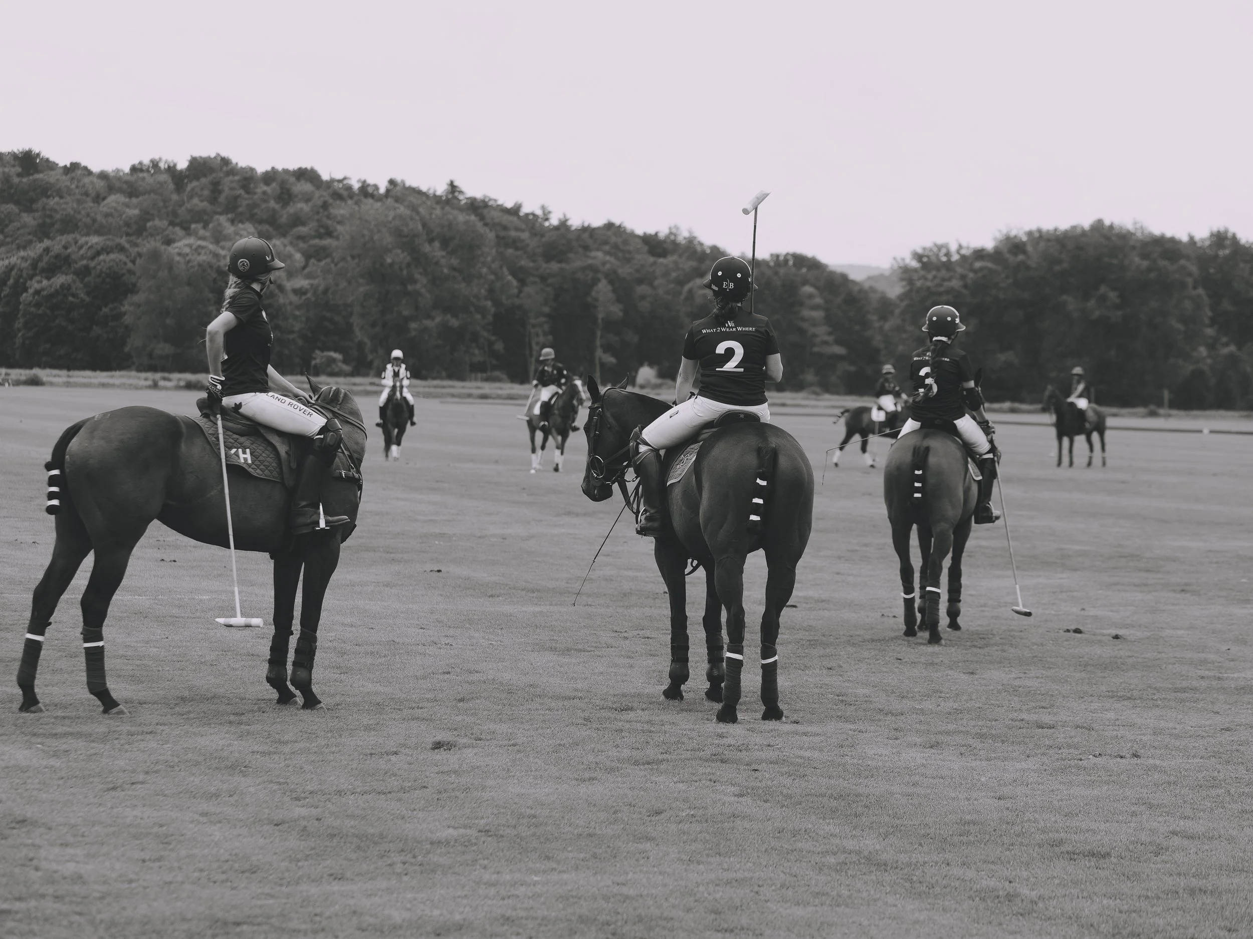MASH POLO AUG 2-1001329.jpg