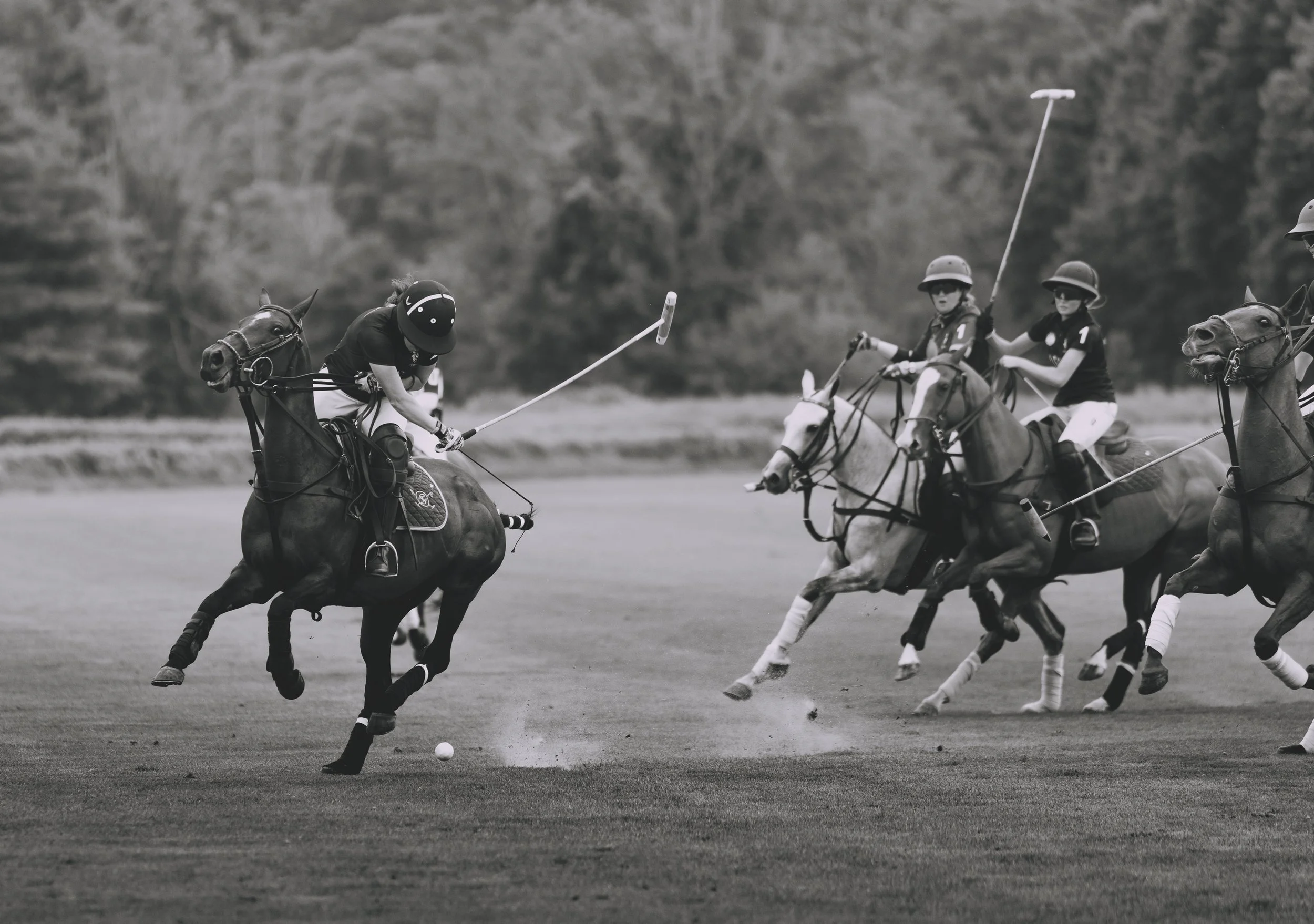 MASH POLO AUG 2-1001132.jpg