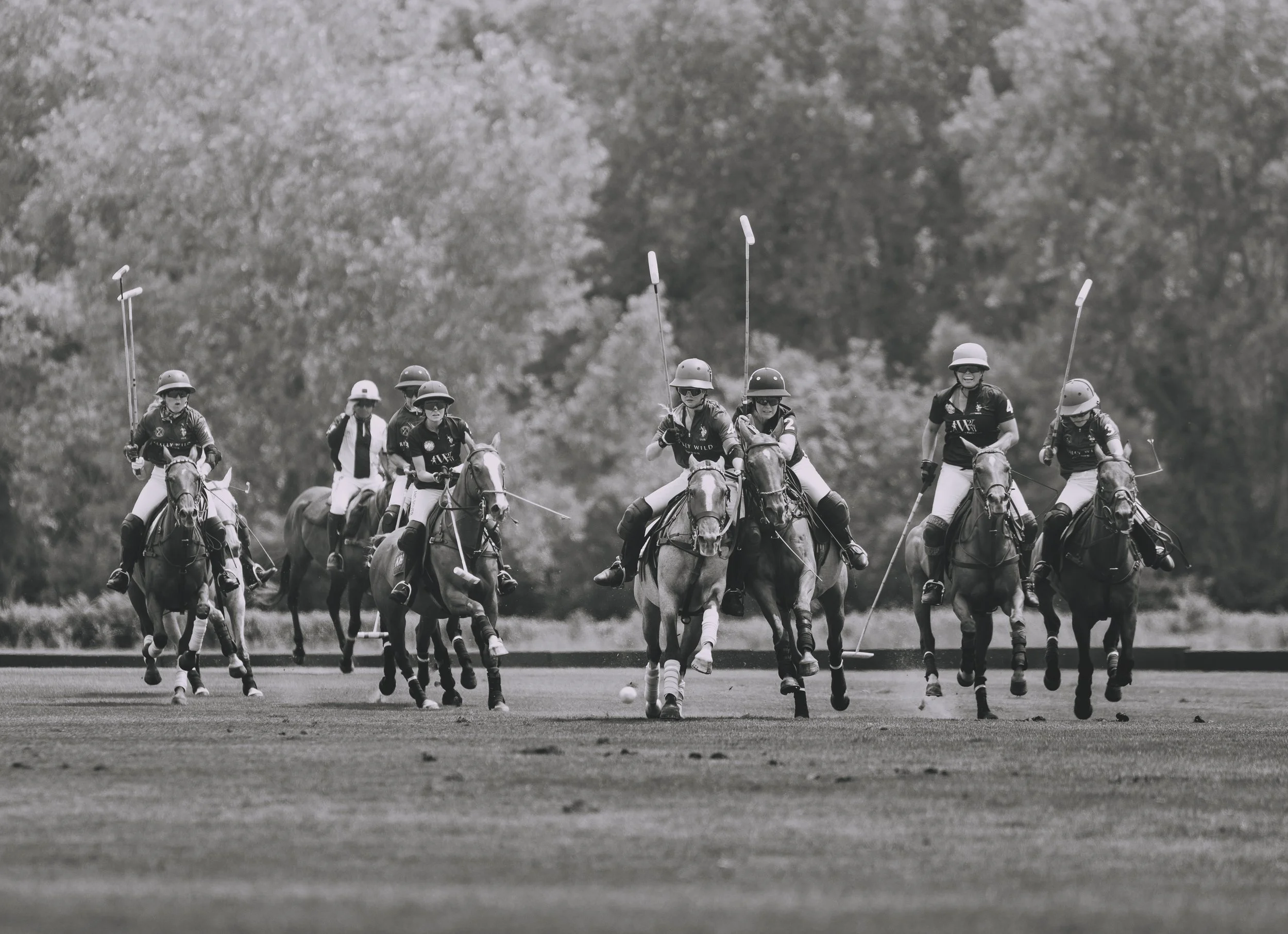 MASH POLO AUG 2-1001454.jpg