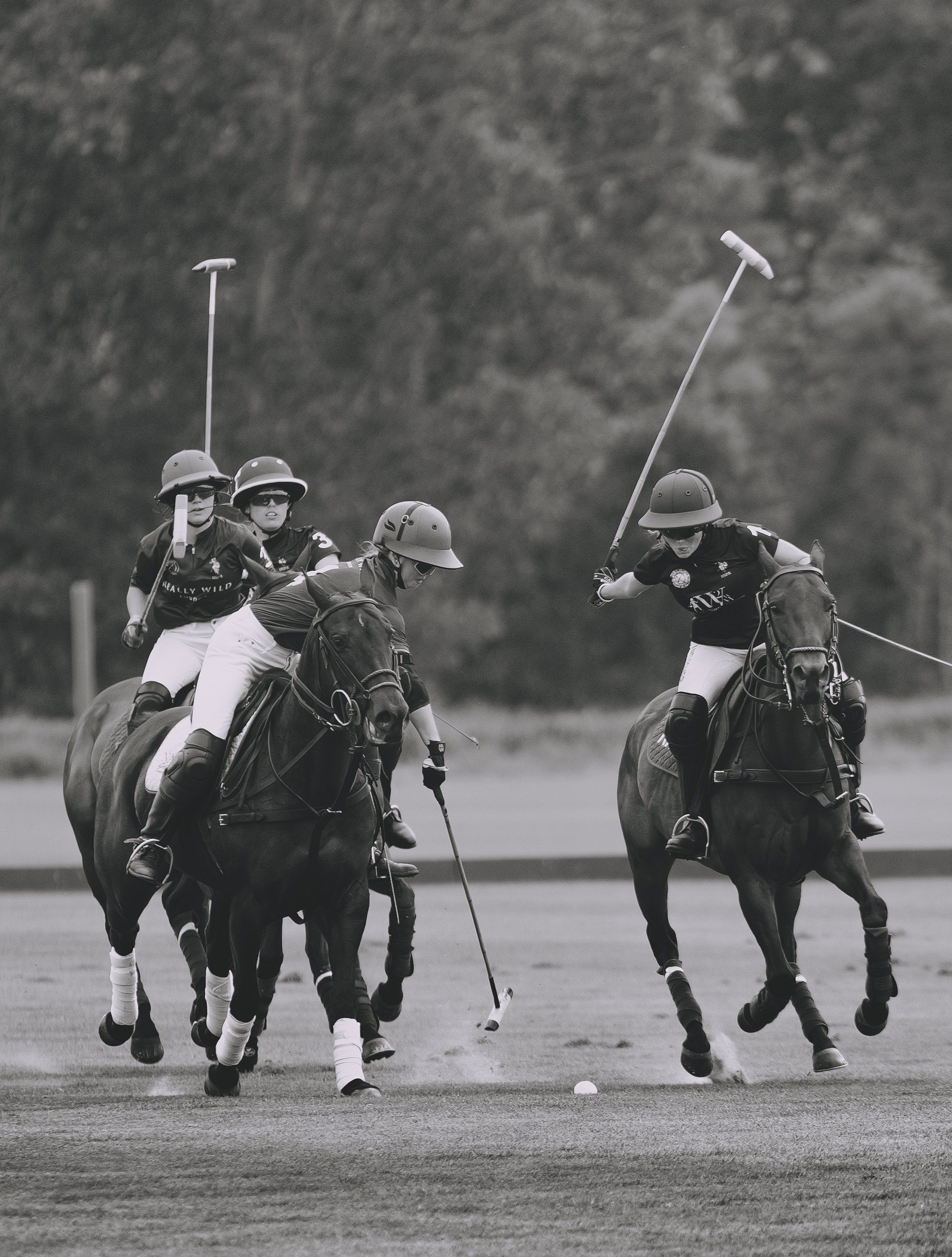 MASH POLO AUG 2-1001053.jpg