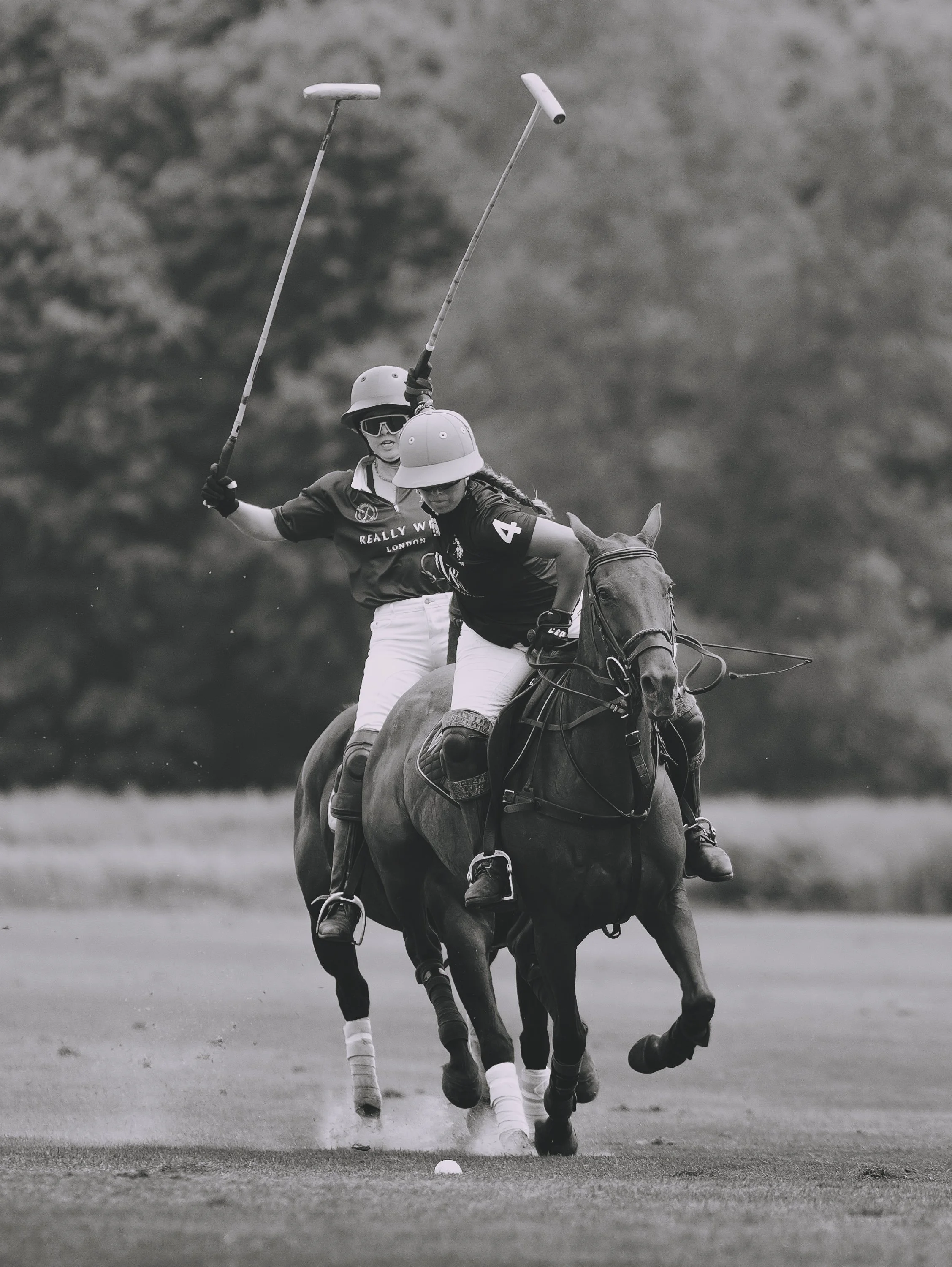 MASH POLO AUG 2-1001495.jpg
