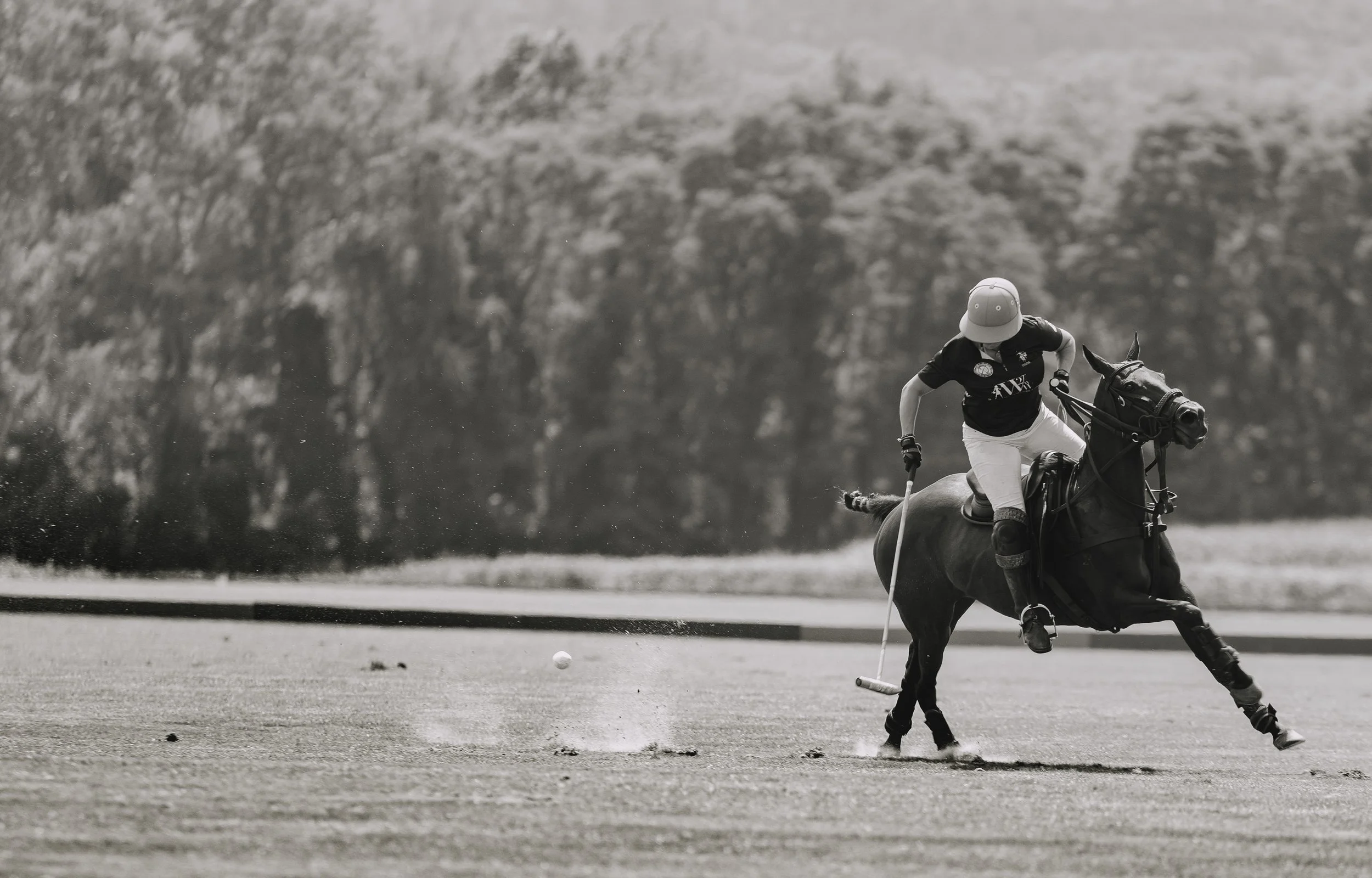 MASH POLO AUG 1-1000361.jpg