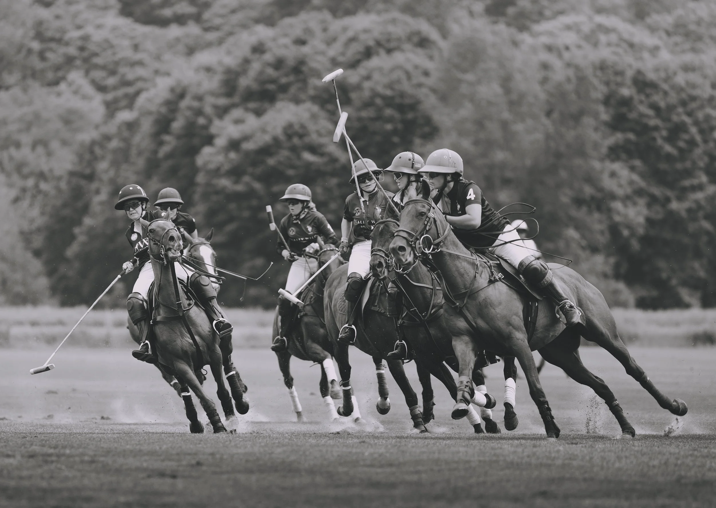 MASH POLO AUG 2-1001501.jpg