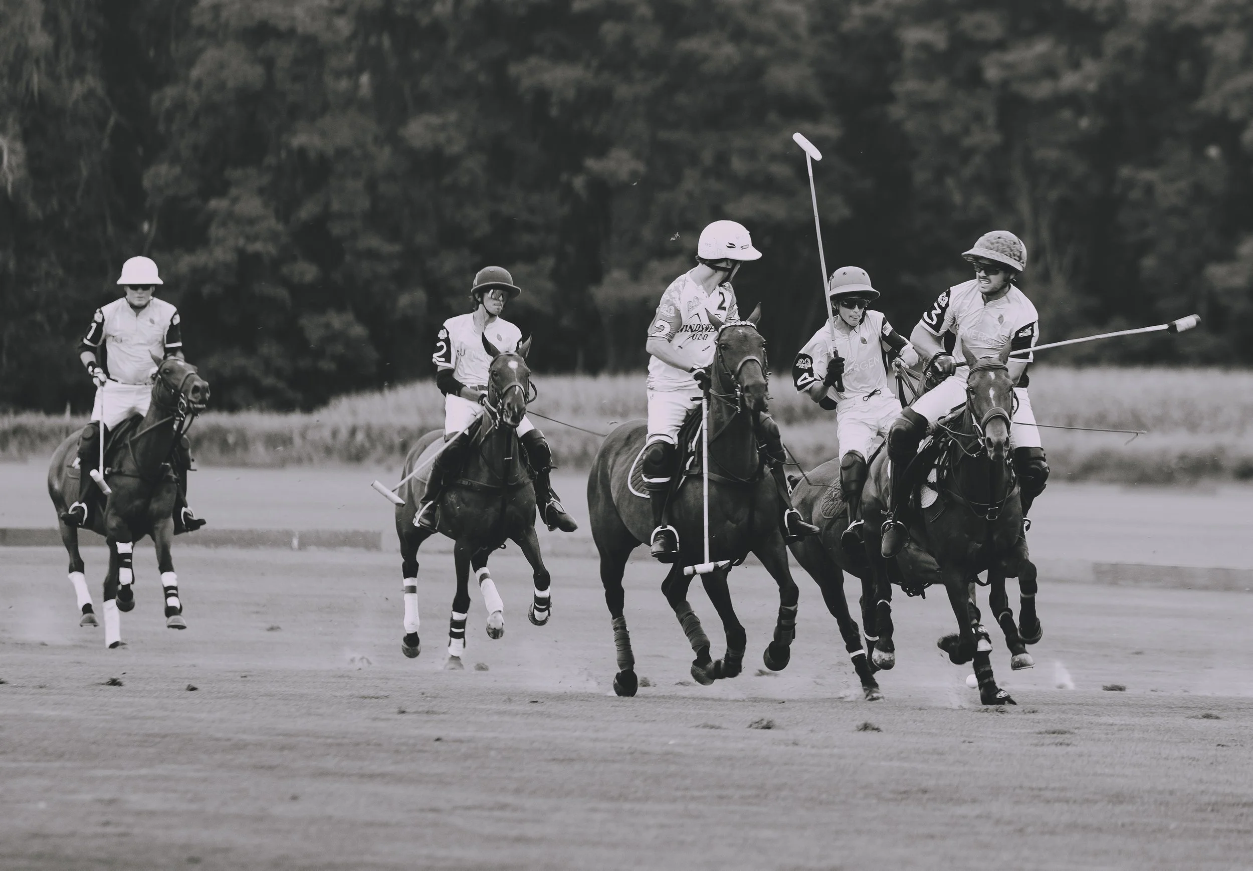 MASH POLO AUG 2-1010021.jpg