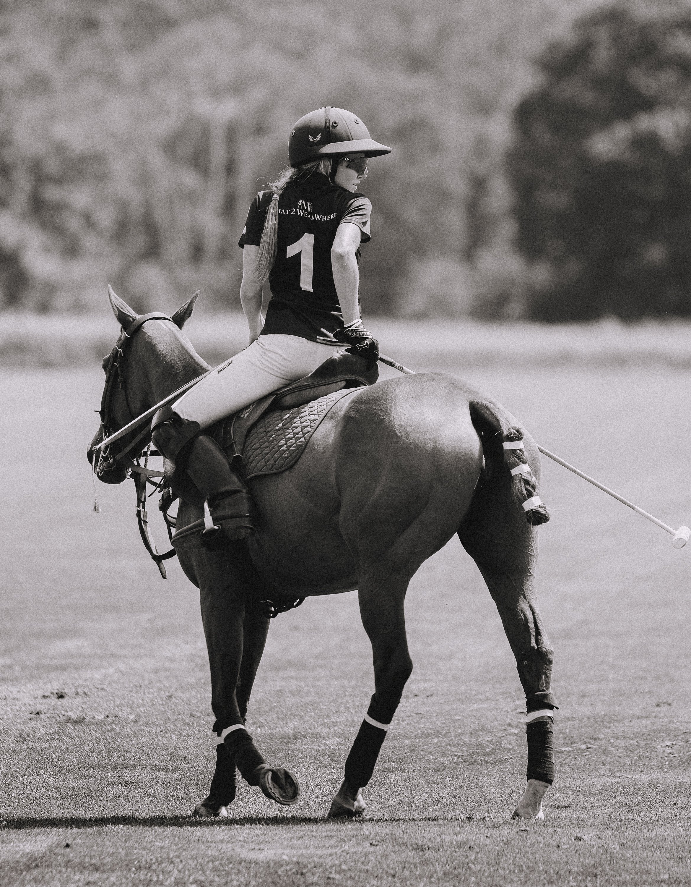 MASH POLO AUG 1-1000459.jpg