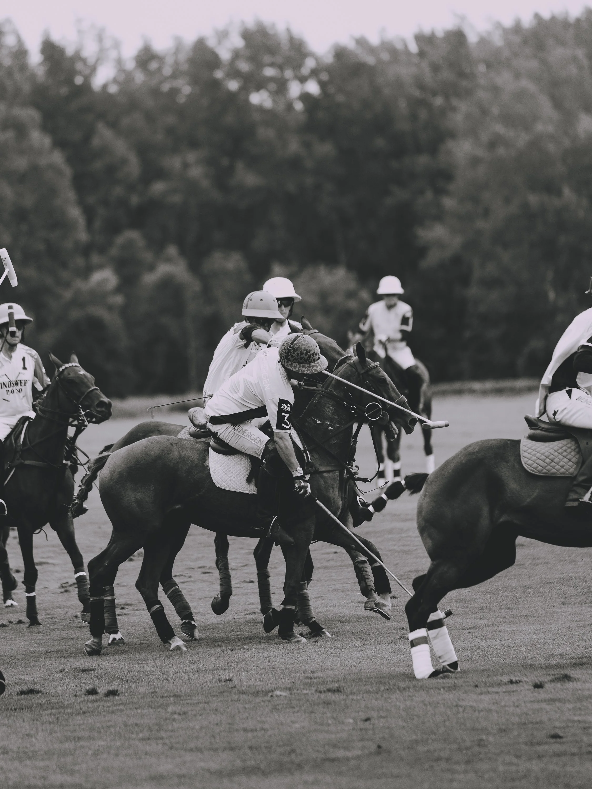 MASH POLO AUG 2-1010274.jpg
