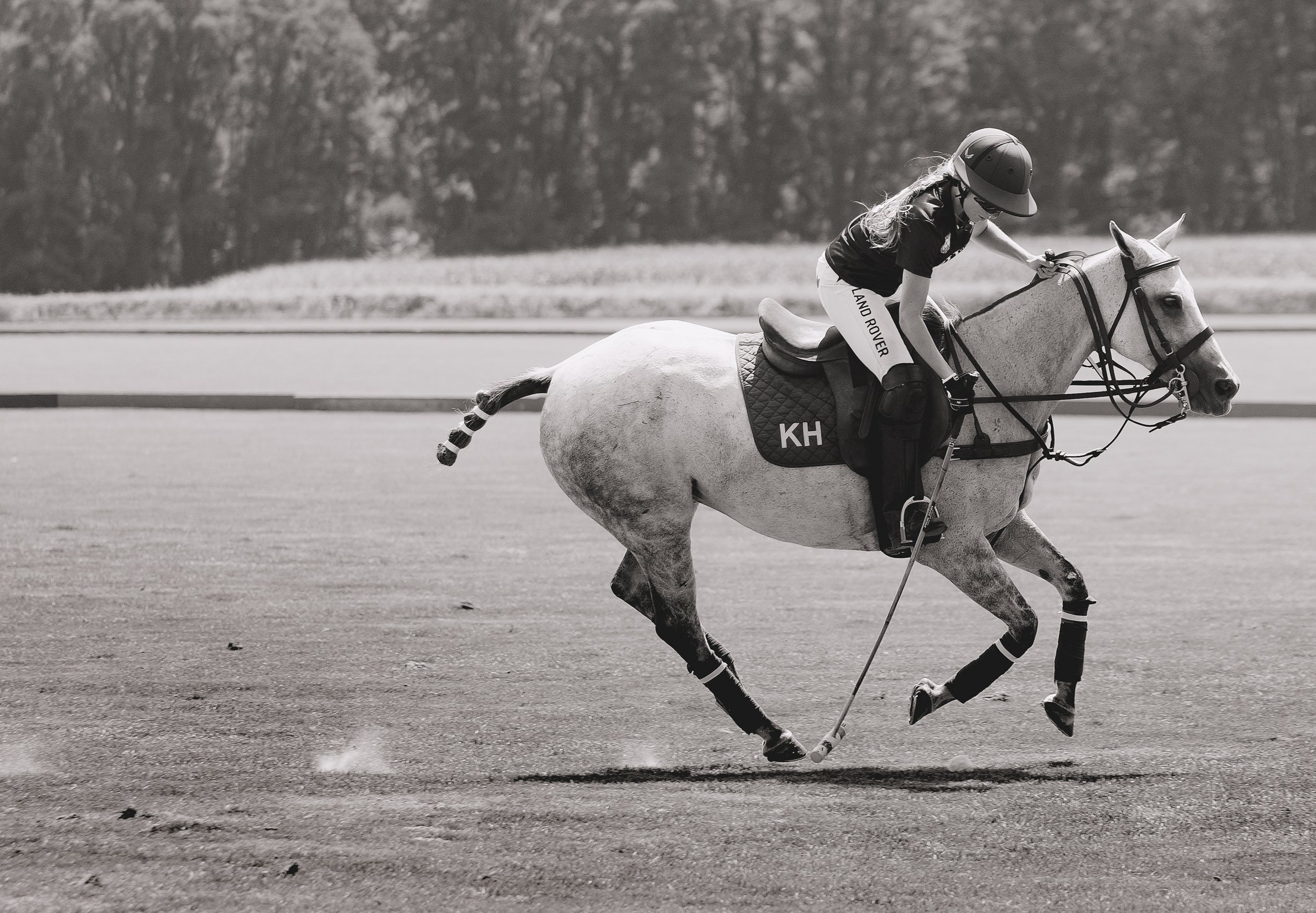 MASH POLO AUG 1-1000575.jpg
