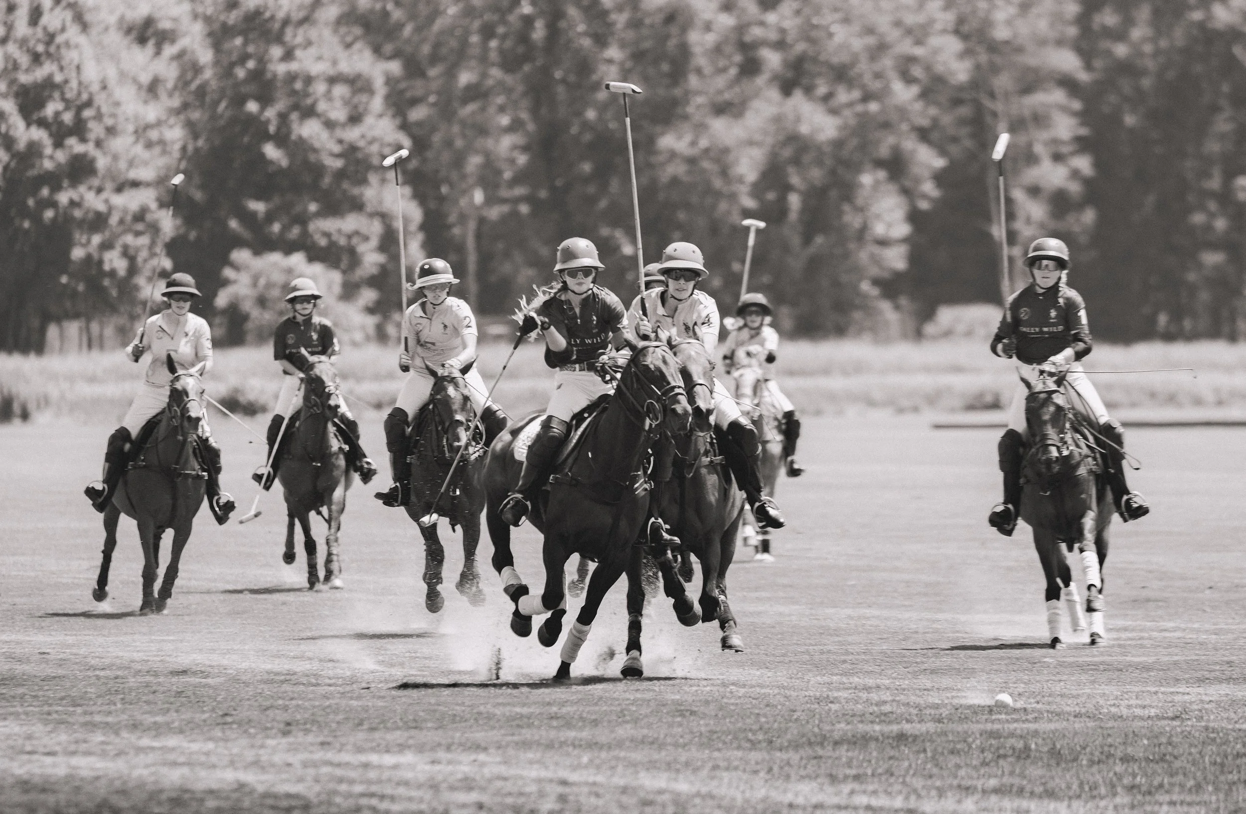 MASH POLO AUG 1-1000628.jpg