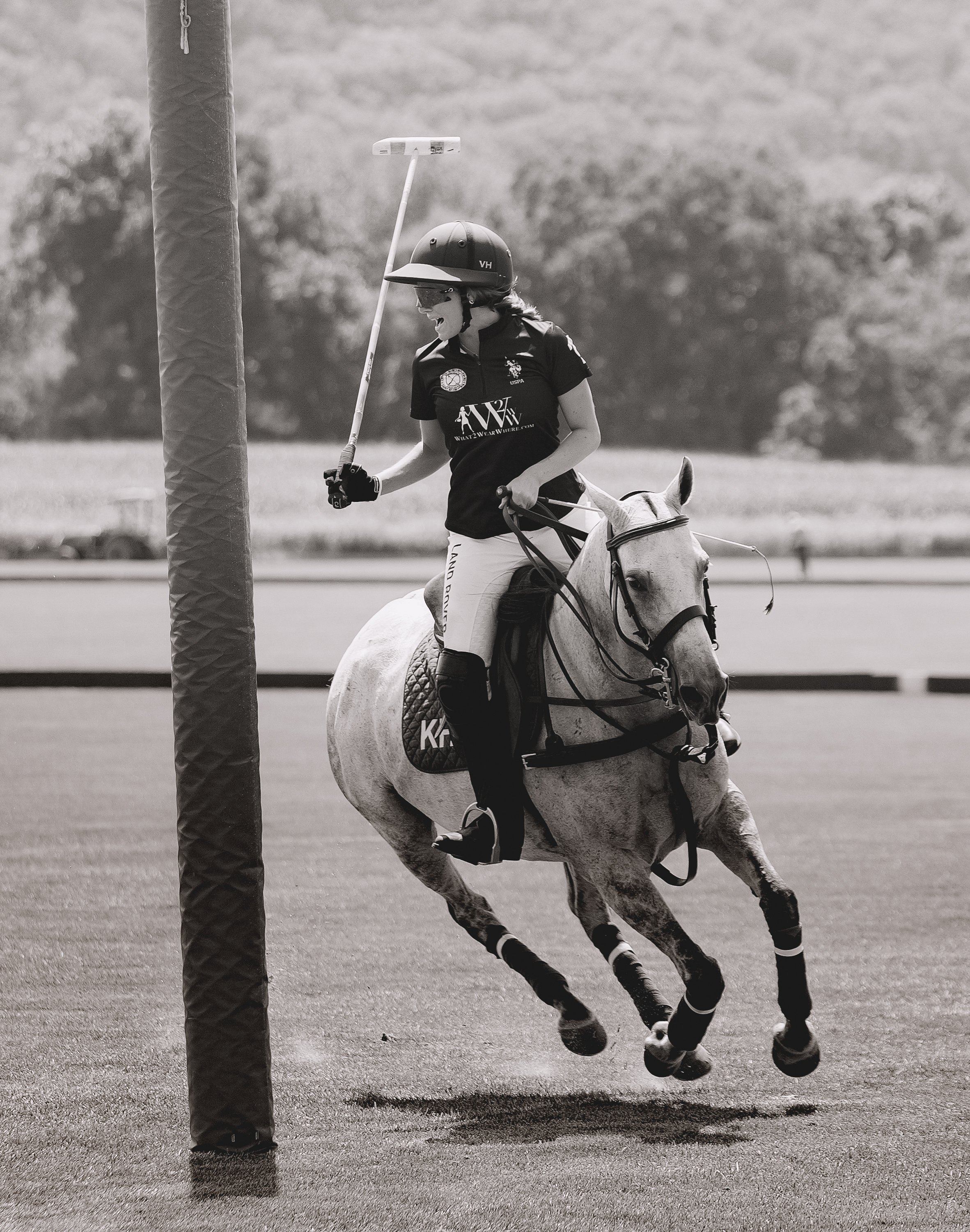 MASH POLO AUG 1-1000579.jpg