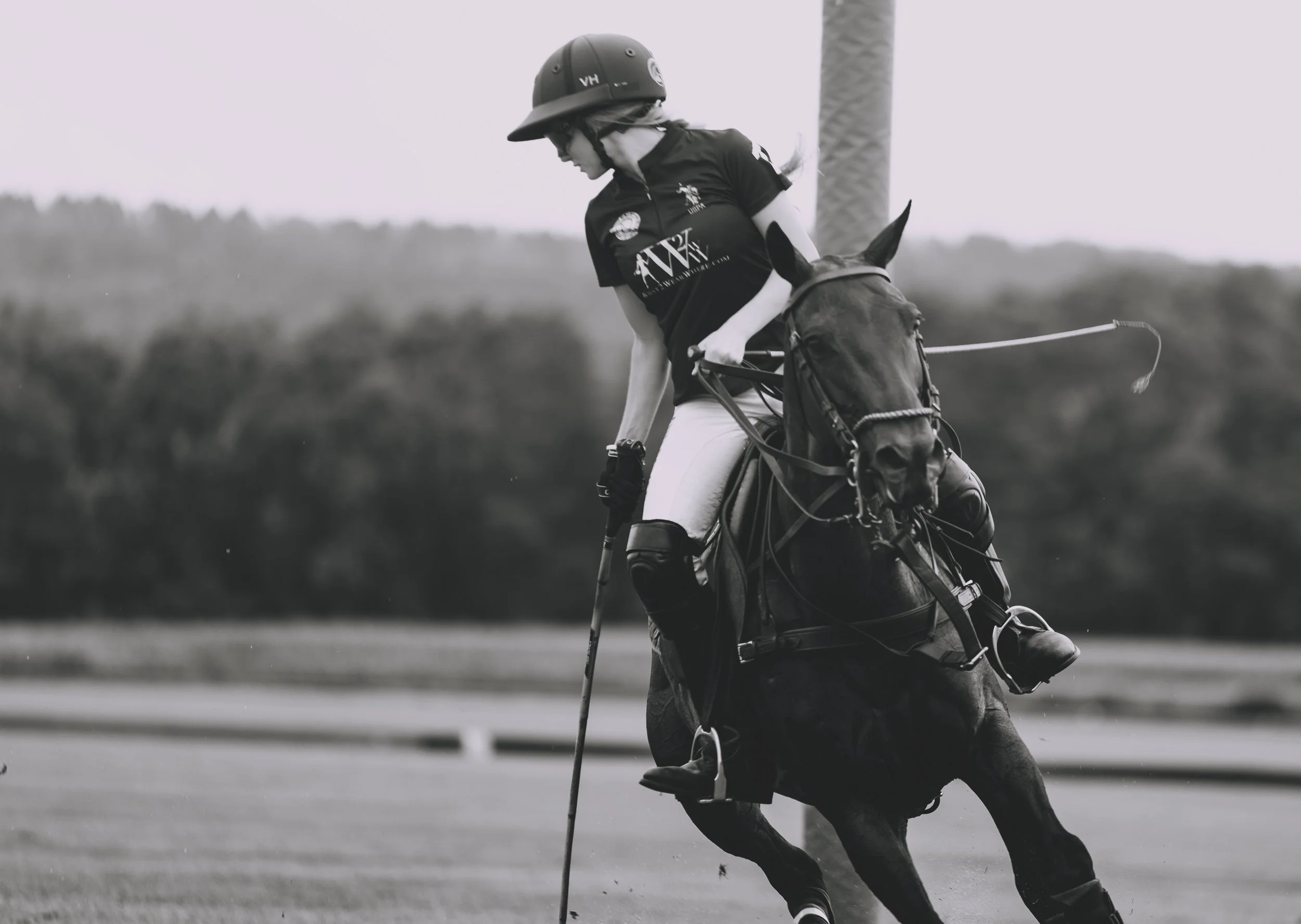 MASH POLO AUG 2-1001397.jpg