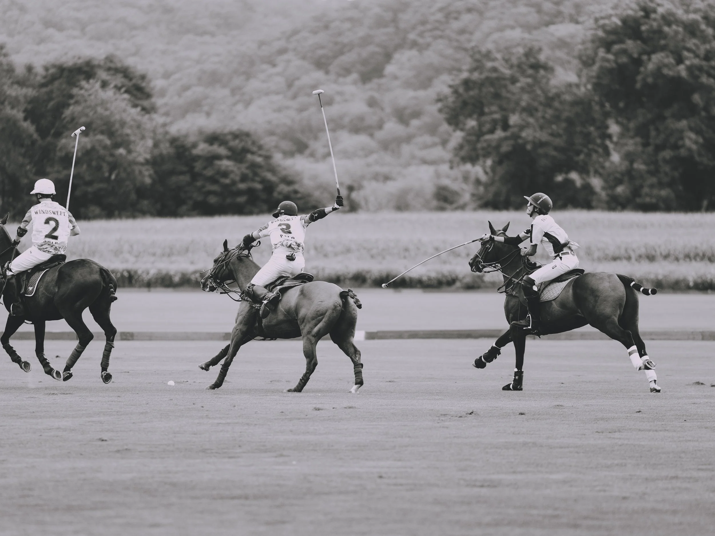 MASH POLO AUG 2-1010199.jpg