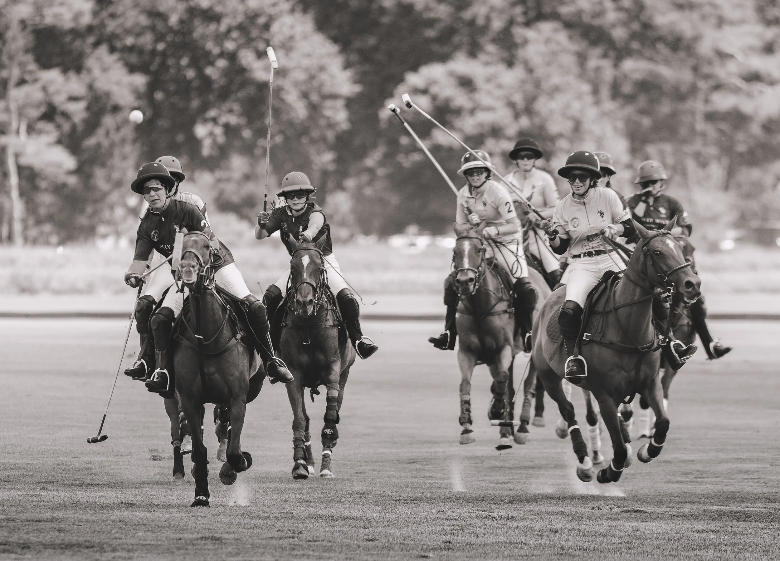 MASH POLO AUG 1-1000867.jpg