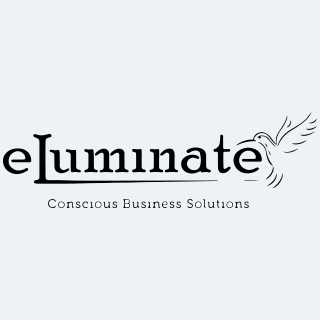 ELUMINATE FINANCIAL SERVICES VISTA, CA