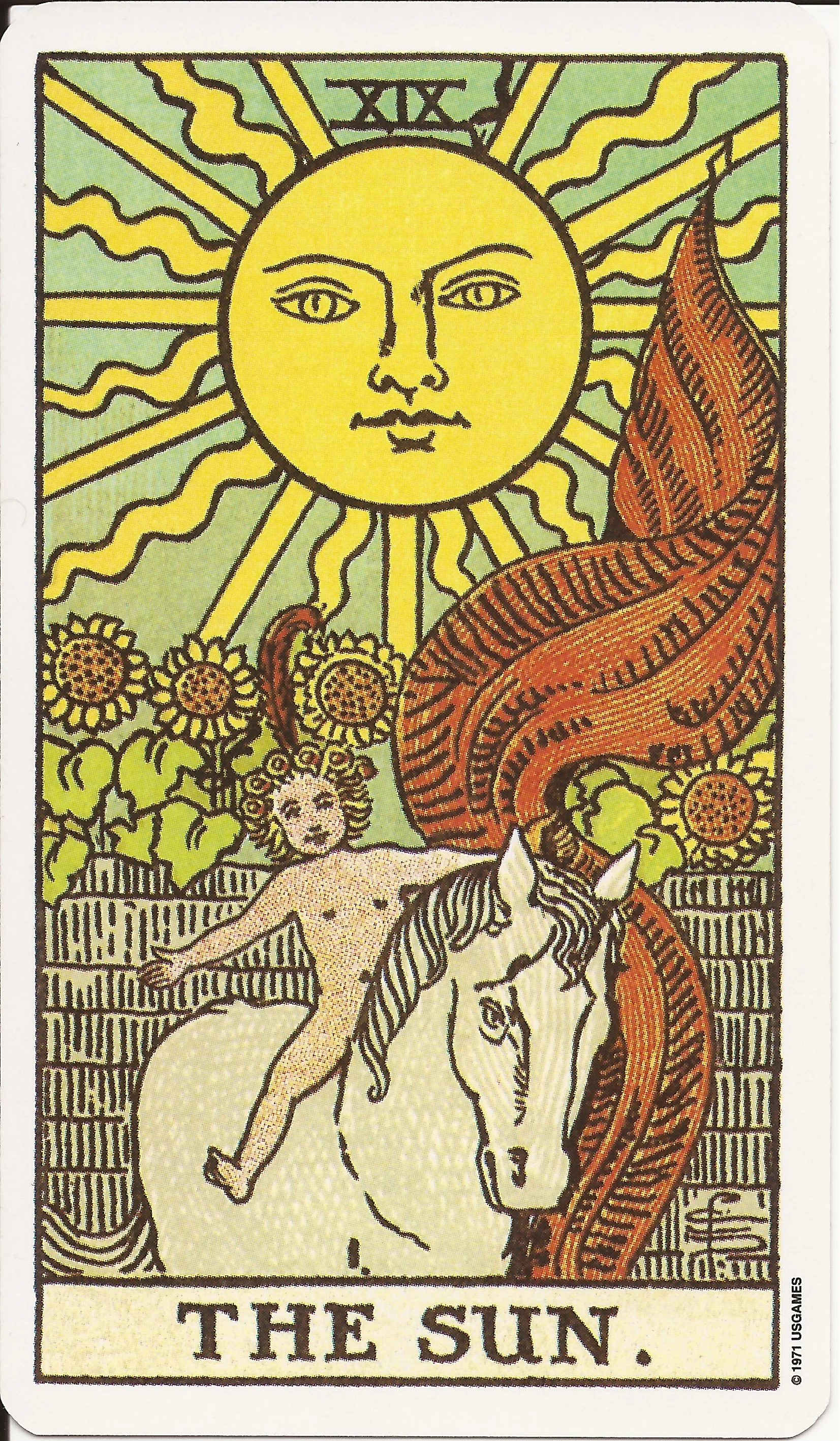 the sun rider austin tarot reader.jpg