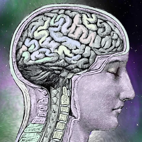 Hypnosis Brain austin tarot reader sm.jpg
