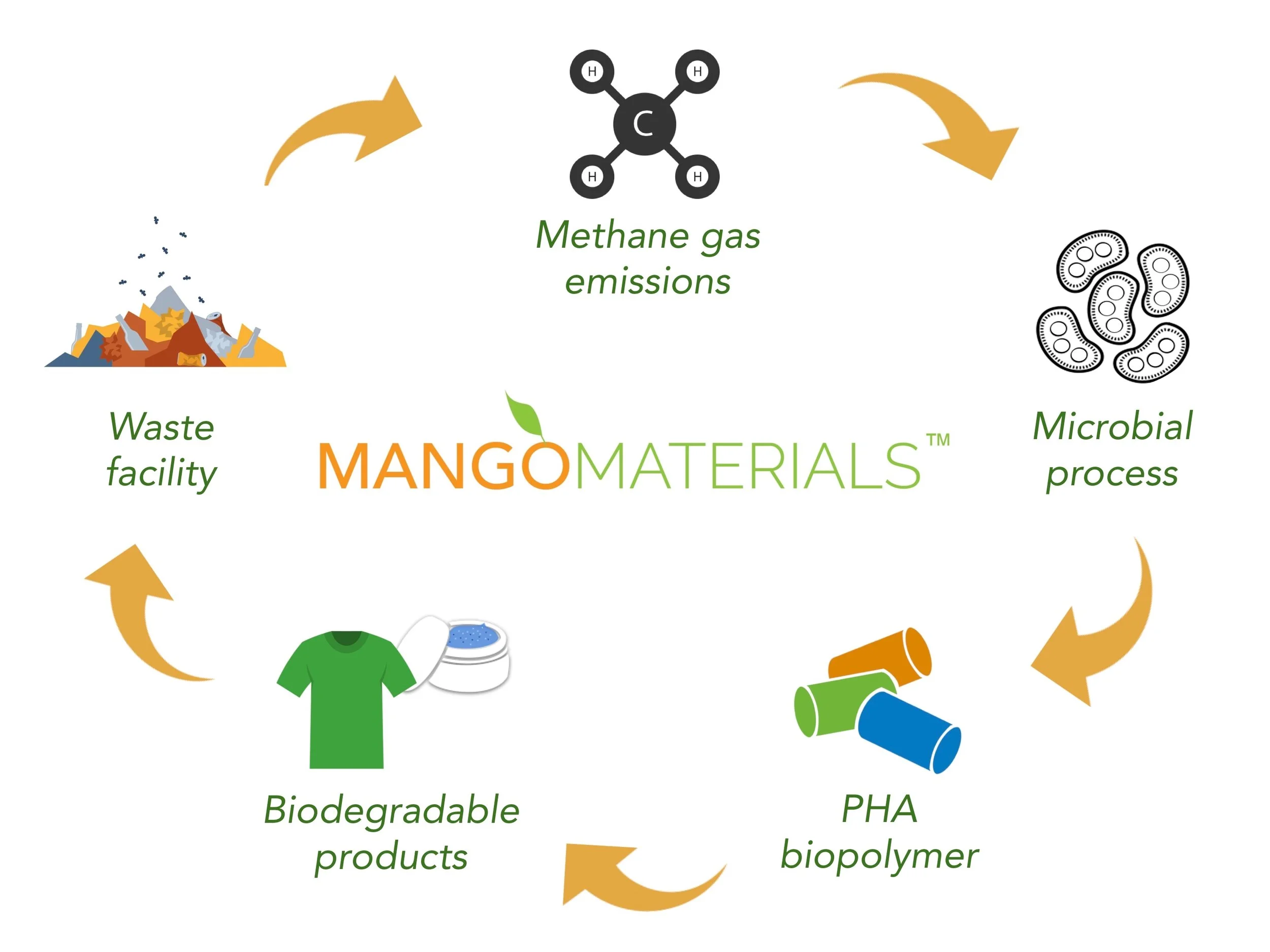 MM Lifecycle.jpg