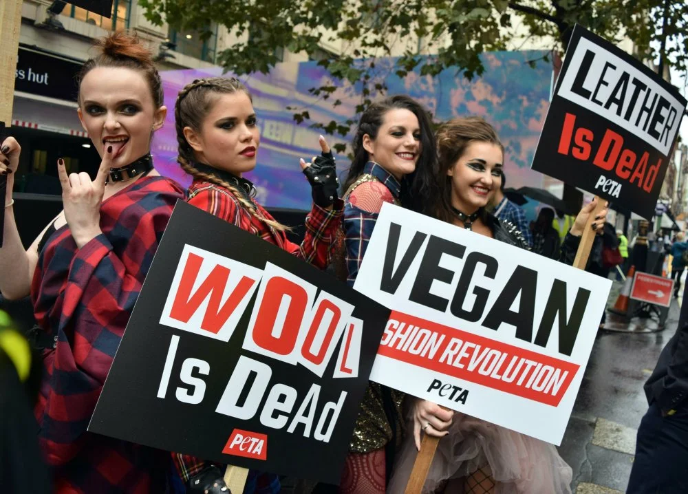 Vegan-Fashion.jpg