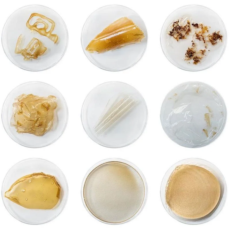 Shellworks: Reimagining nature's packaging