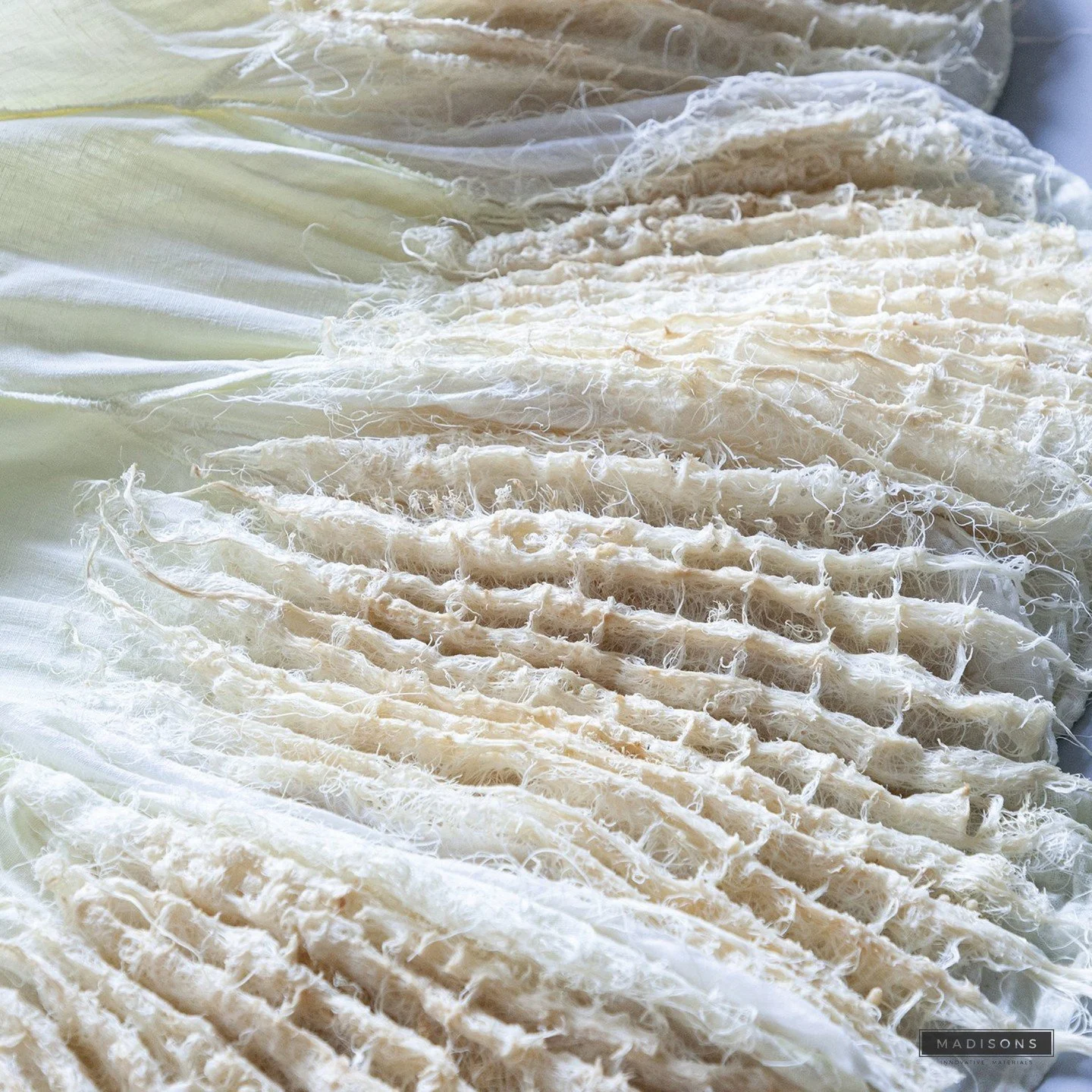 🌱👗 Rootfull is changing the game with their #revolutionary plant root textile! 🌿 Using patent-pending tech, they're cultivating biodegradable materials for fashion and interiors. 💫 Transforming fibrous substrates into fresh, eco-friendly surfaces