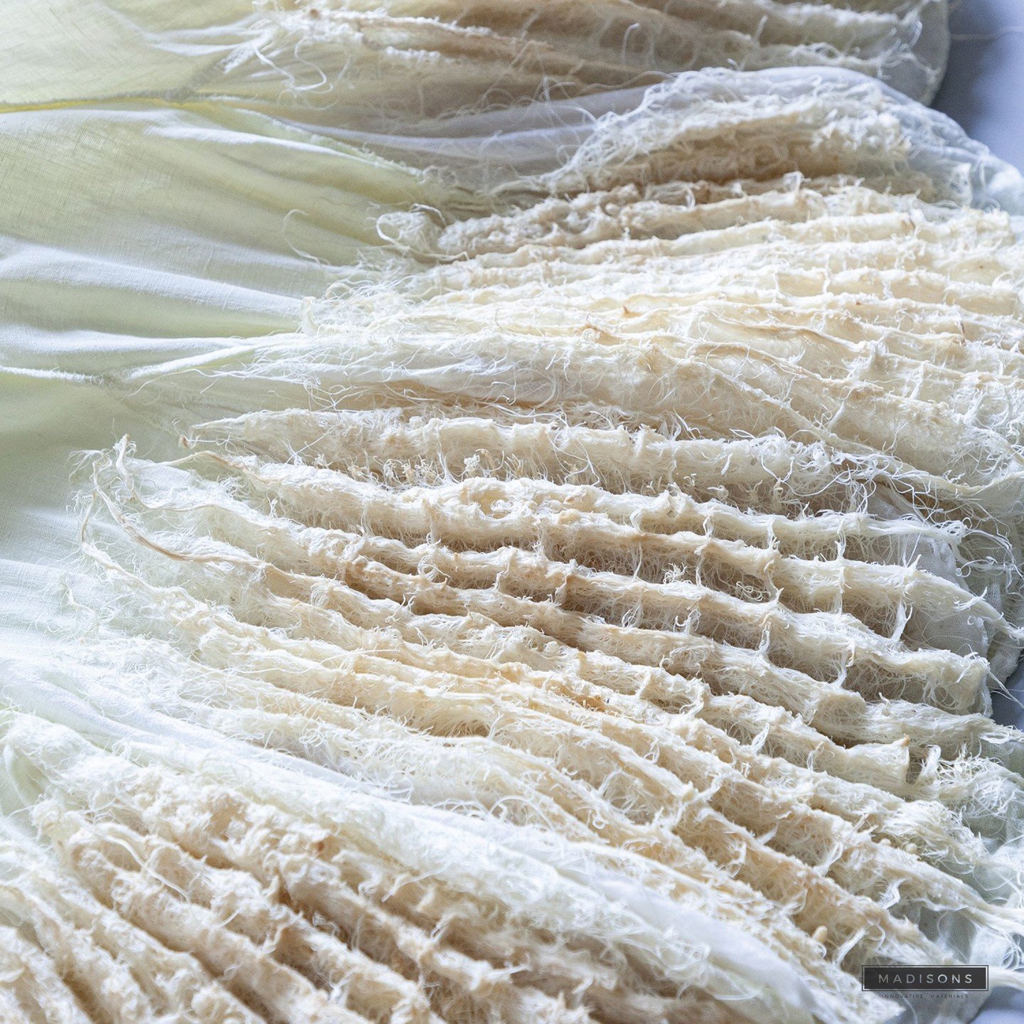 🌱👗 Rootfull is changing the game with their #revolutionary plant root textile! 🌿 Using patent-pending tech, they're cultivating biodegradable materials for fashion and interiors. 💫 Transforming fibrous substrates into fresh, eco-friendly surfaces