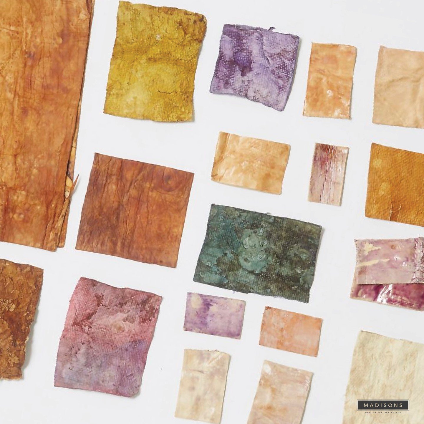 🌿🍄 Sustainably breaking new ground! British materials companies Sages and Osmose have joined forces to create #myceliumleather dyed with natural food waste, like avocado pits and blueberries. 🥑 This #ecofriendly collaboration offers a #biodegradab