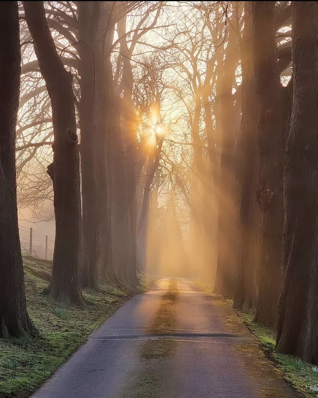 Golden Avenue

A glorious morning of fine mist and sunrays

#goldenavenue #peakdistrict #derbyshire #treephotography #samsungs21ultra #frommywander #withgalaxy #visitengland #uniquedistrict #reflectionsmag #gloriousbritain #jessopsmoment #appicofthew