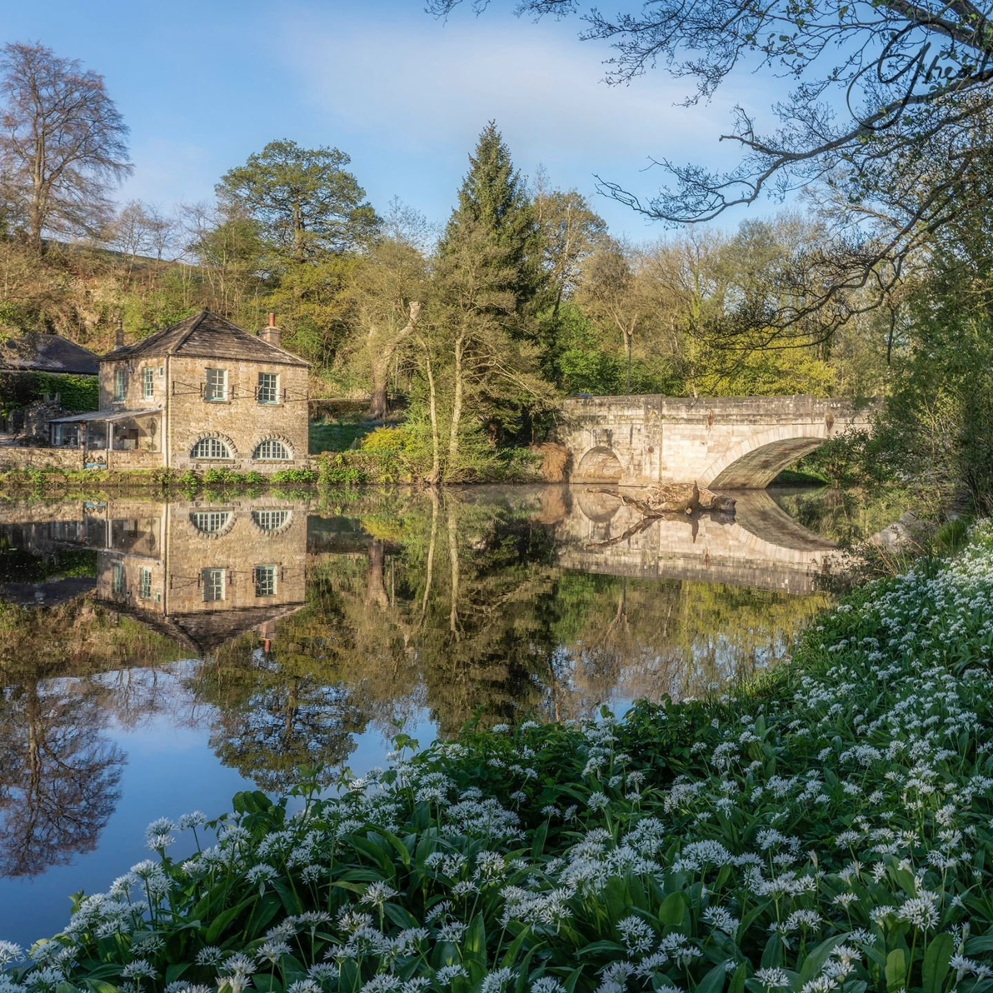 Something Old, Something New

The Old Shuttle House and New Bridge at Calver reflecting in the River Derwent with a banking of wild garlic.

#wildgarlic #calverweir #peakdistrict #reflectionsmag #gloriousbritain #jessopsmoment #appicoftheweek #landsc