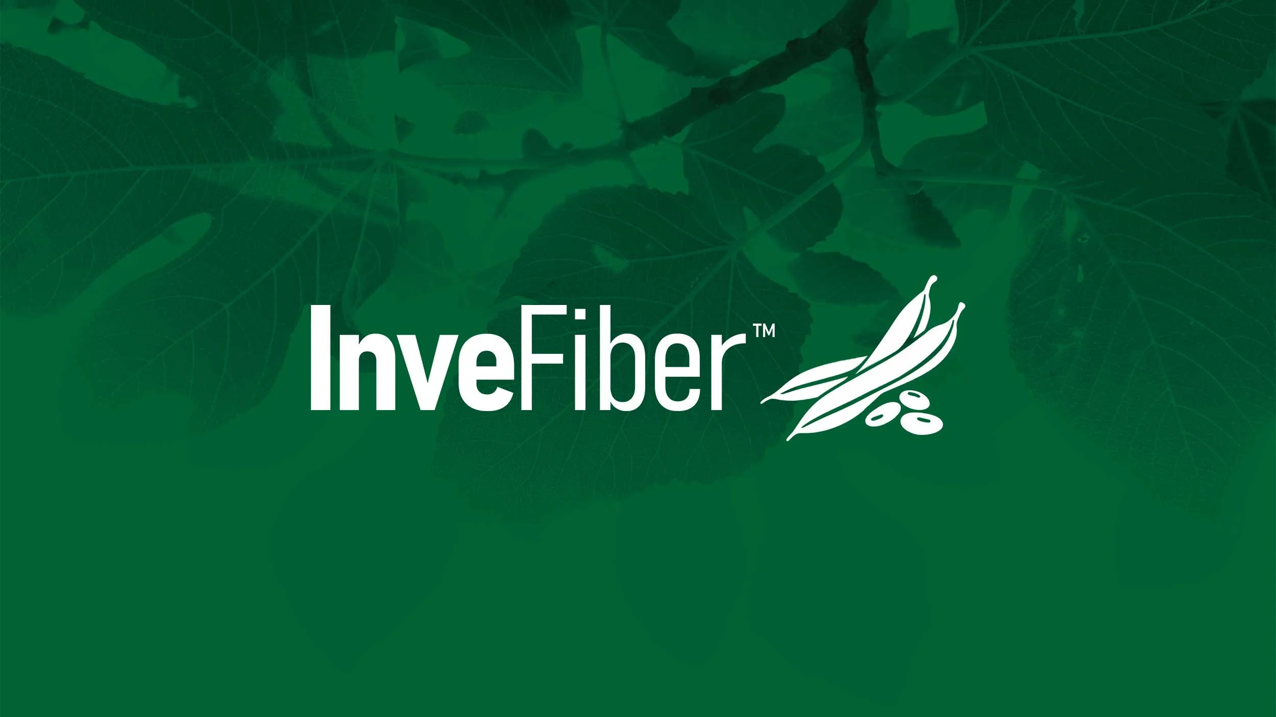 2610-IAS-Website-InveFiber-Page-Banner-2500x1406_V1.jpg