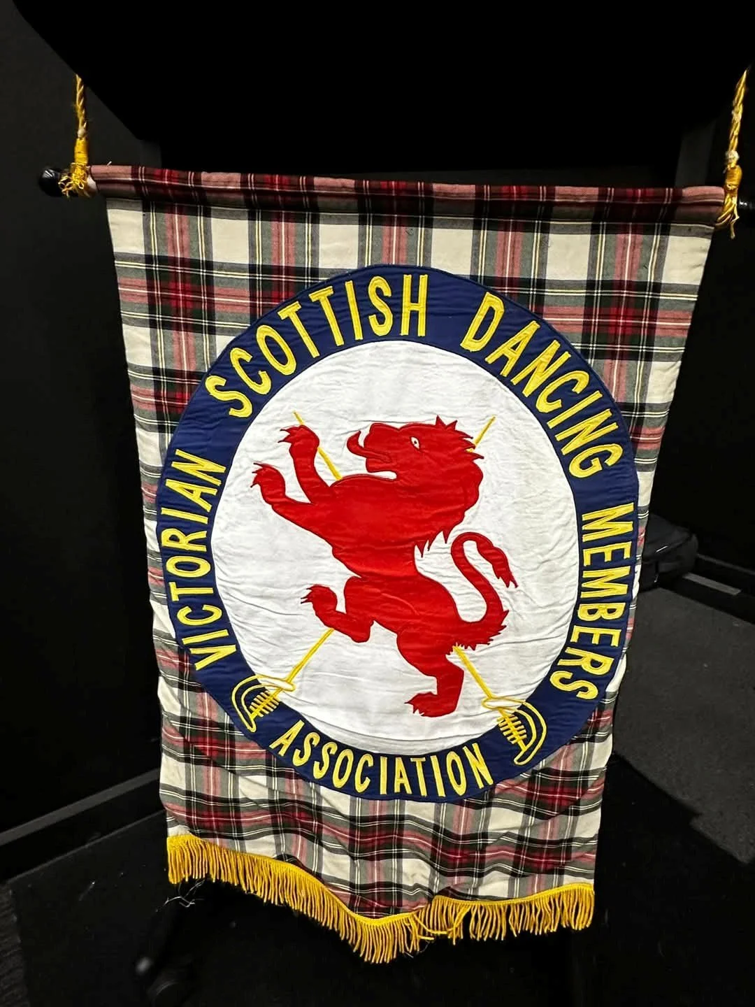 VSDMAI Banner.jpeg