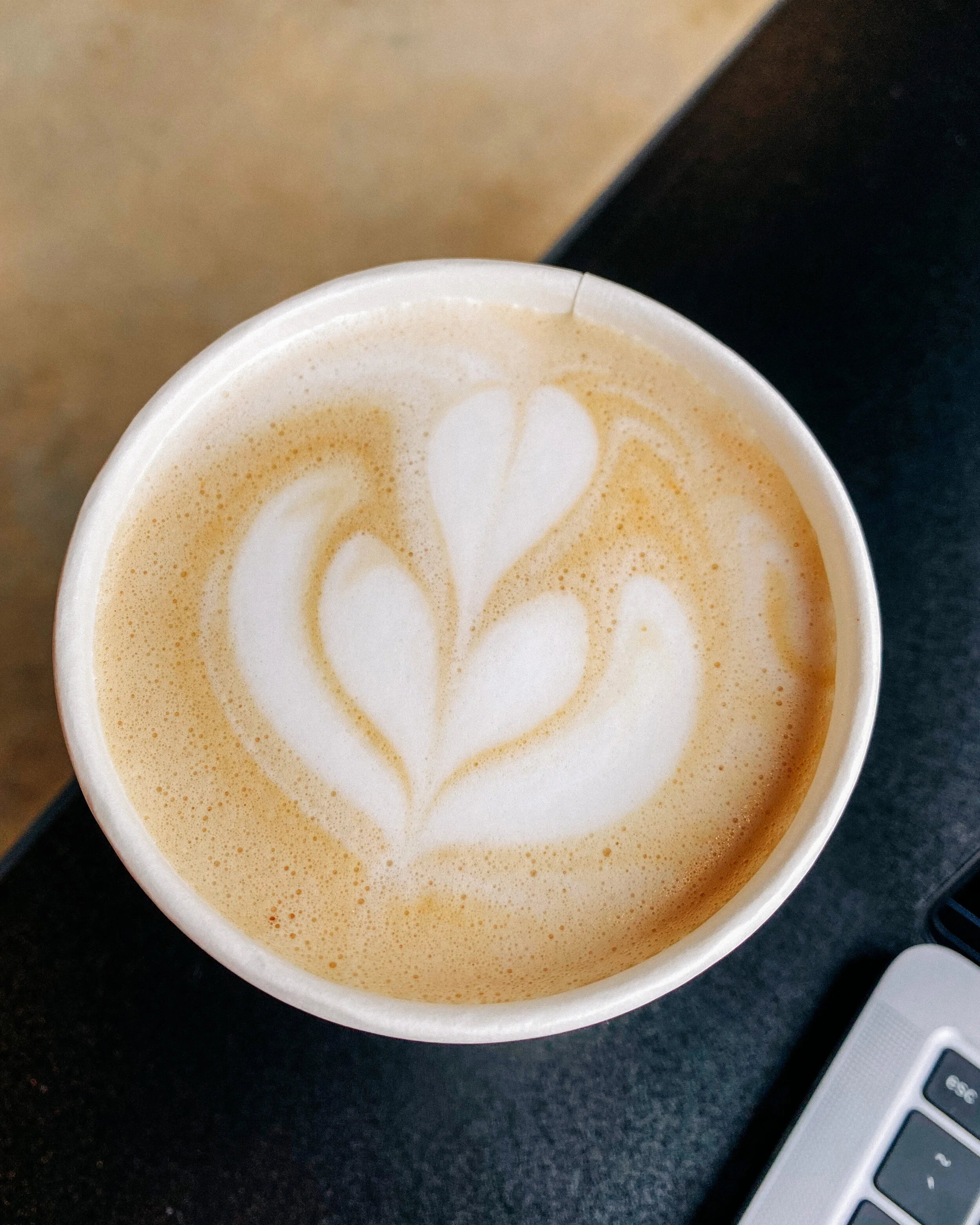 10 Coffee &amp; Tea Shops You Need To Try in Tampa Bay 