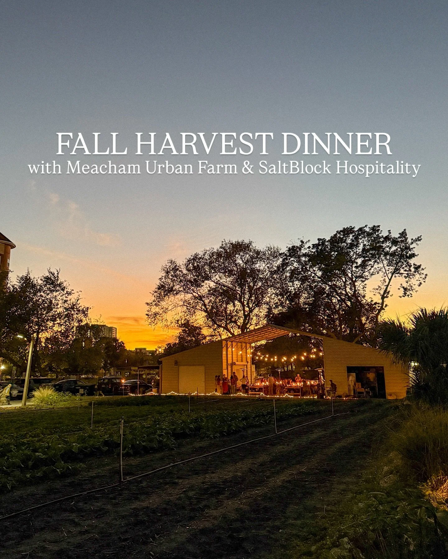 One of my favorite spots in town @meachamurbanfarm is hosting their Fall Harvest Dinner next Saturday, November 15th with @saltblockhospitality! ✨🍷🥬

This will be a true farm to table experience right in Downtown Tampa featuring a multi-course chef